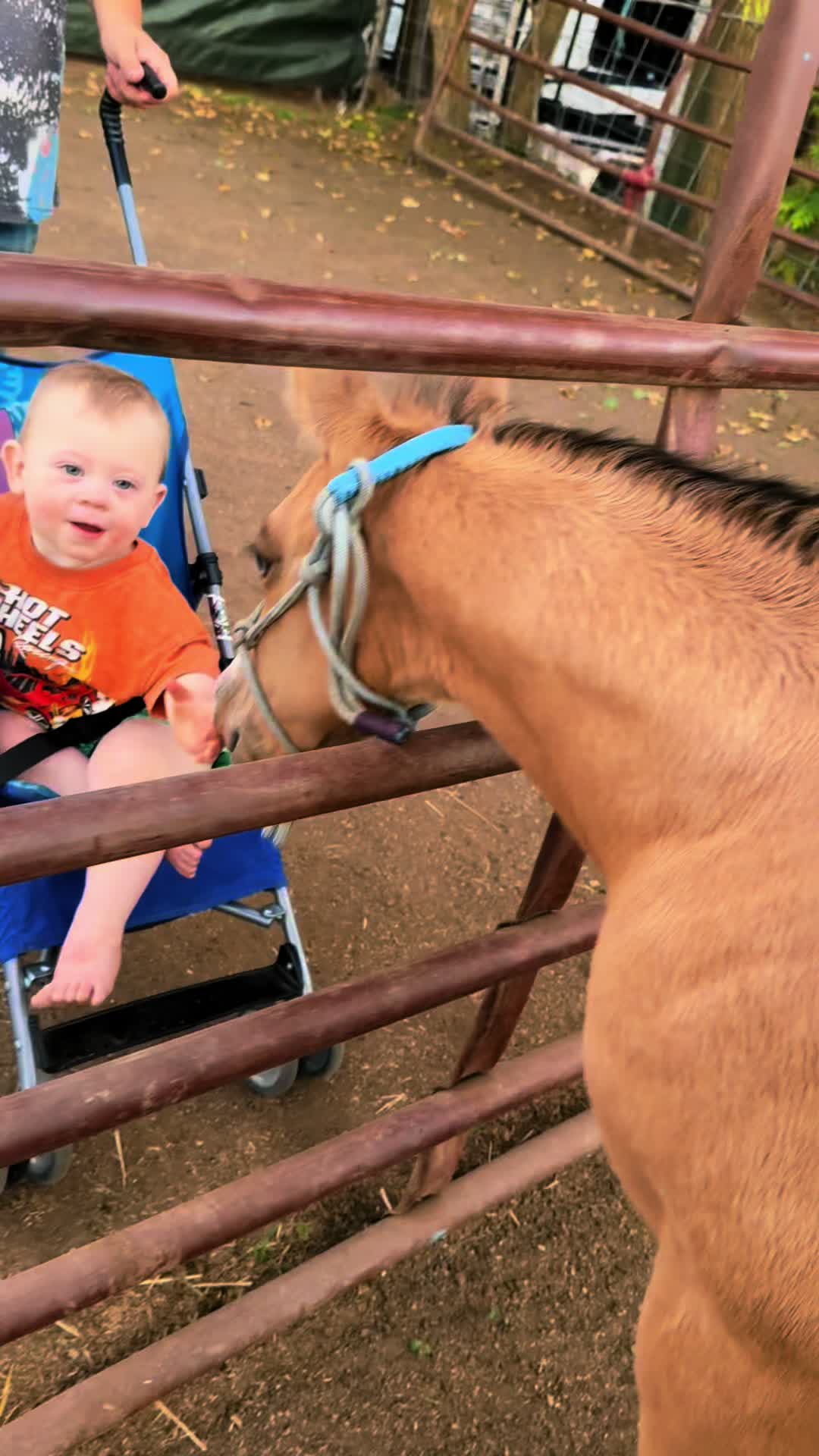 @Cowgirl Tuff Colt Training ❤️