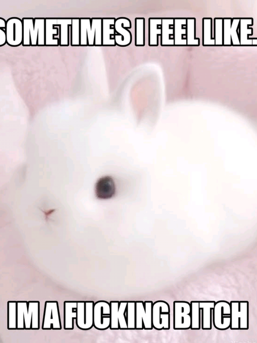 @𐙚