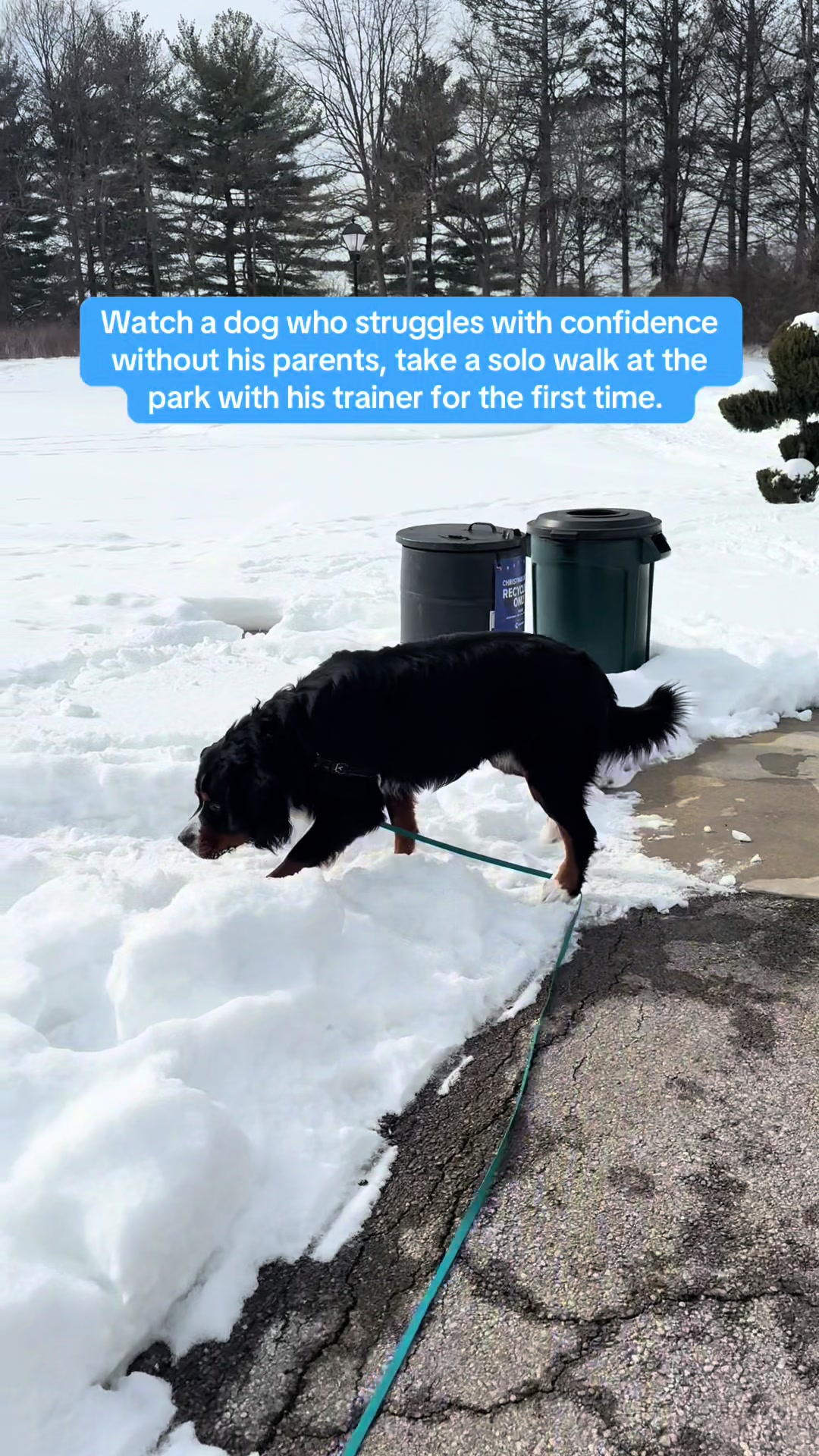 @Exploring K9 Training