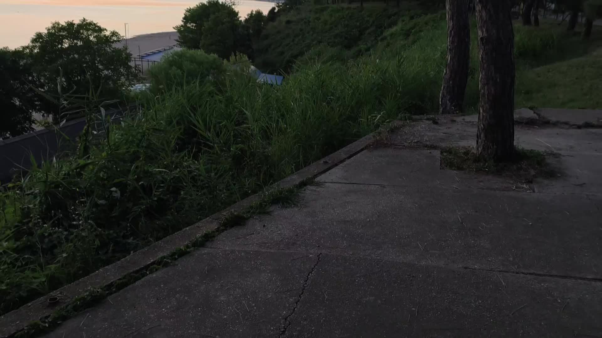 @C u r s e d L i f e