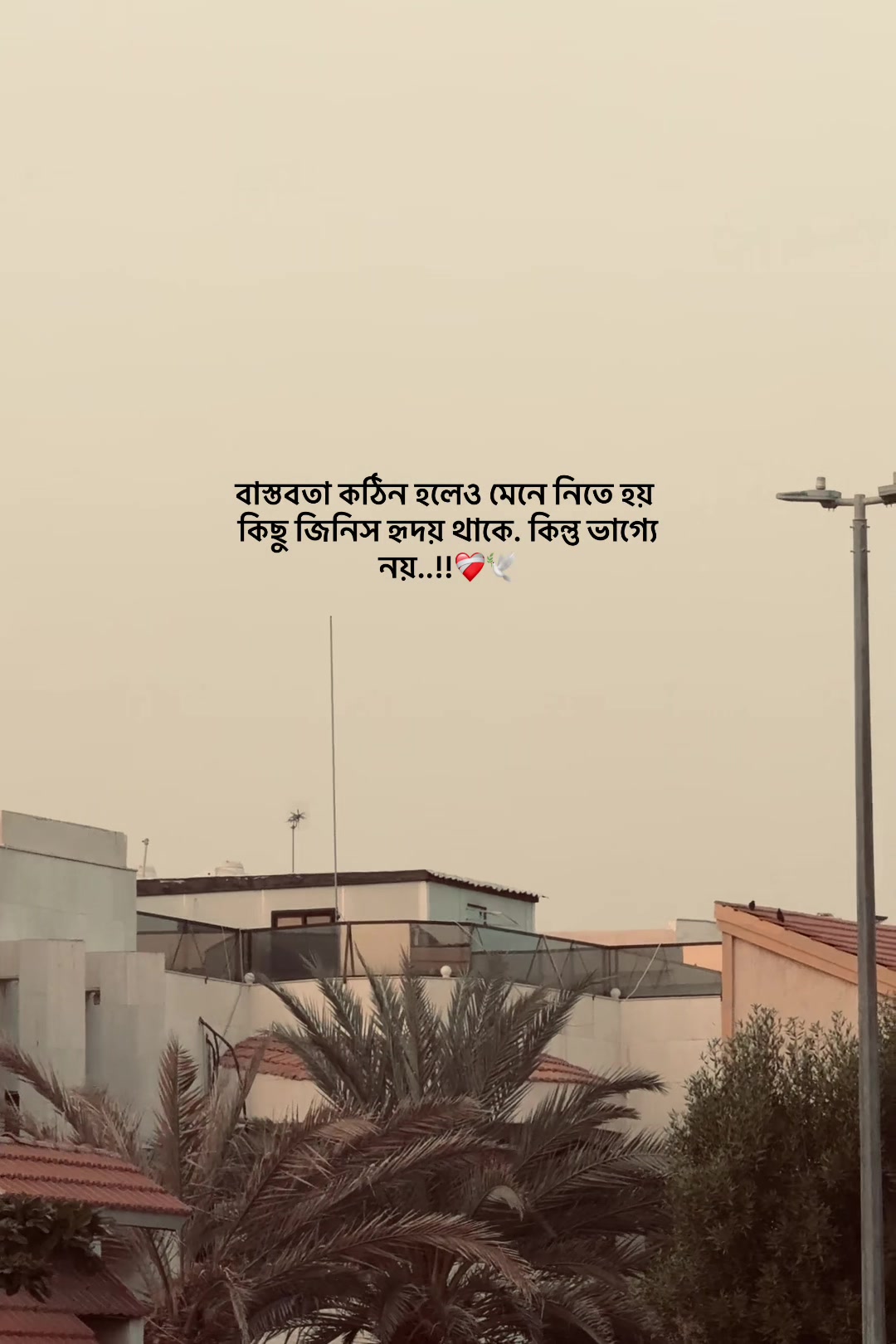 @𝐒𝐈 𝐘 𝐀𝐌 