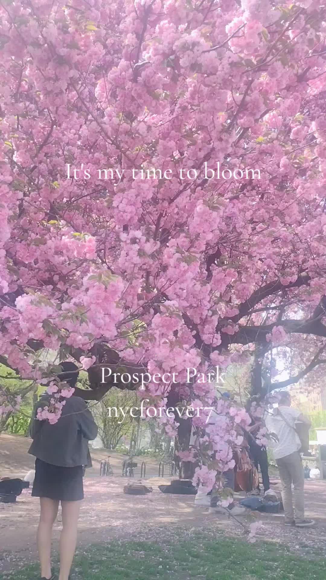 @marigoldnyc