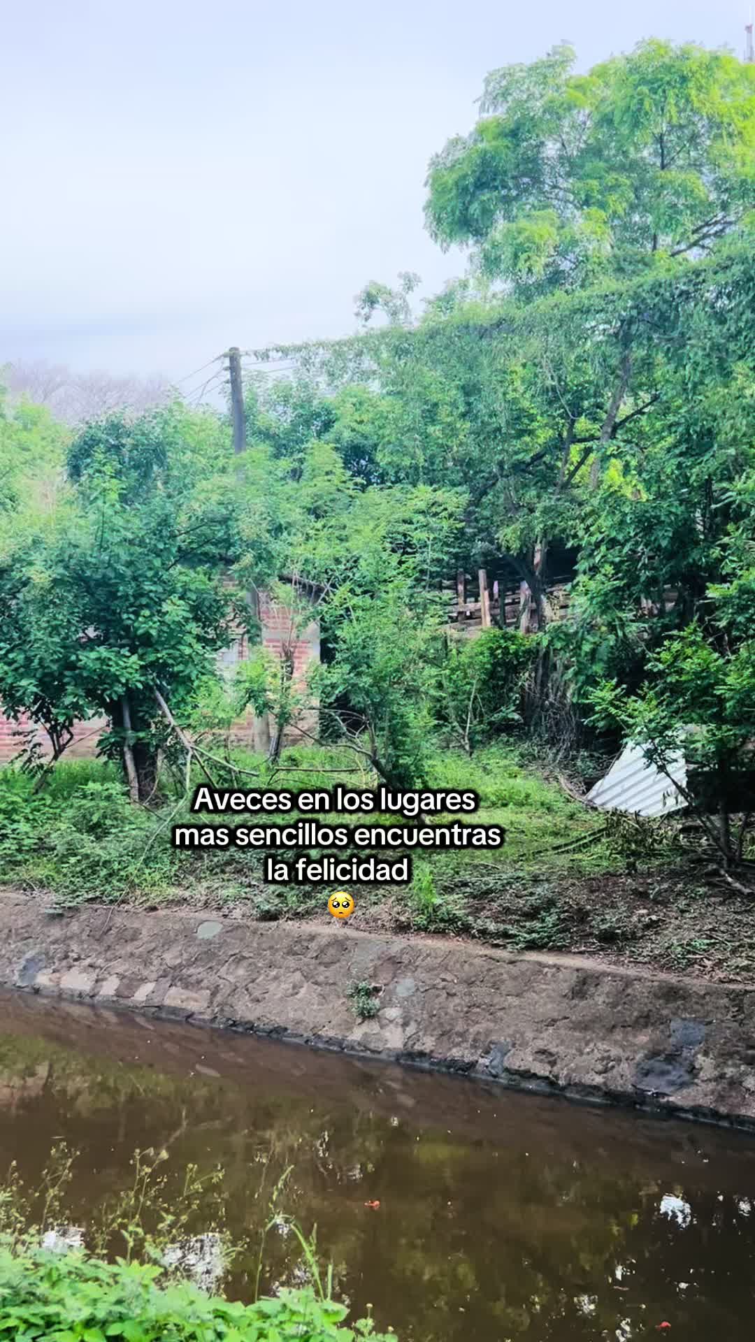 @Erika🪻