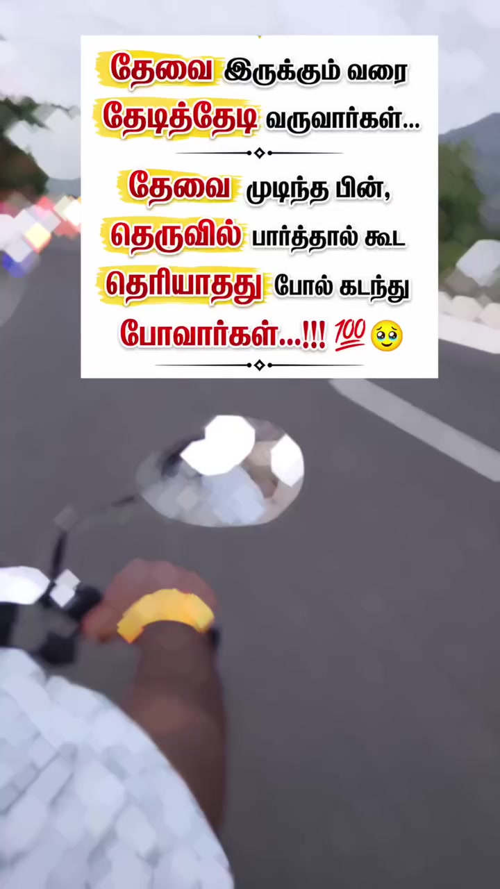 @🔥🔥🔥தஞ்சை ராஜா🐱🐱🐱💜💜💛💛