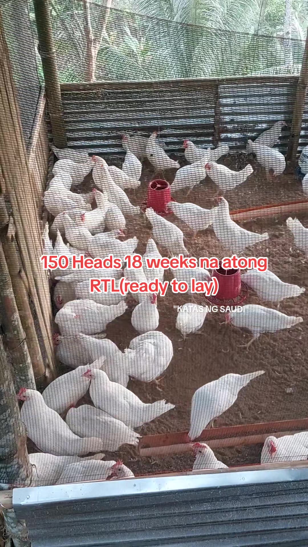 @❤♡♥♡ⁿʸˡʳᵃᵐ♡♥♡❤