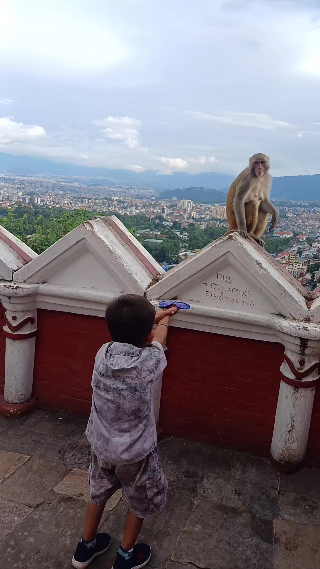 @MiraYu🍁