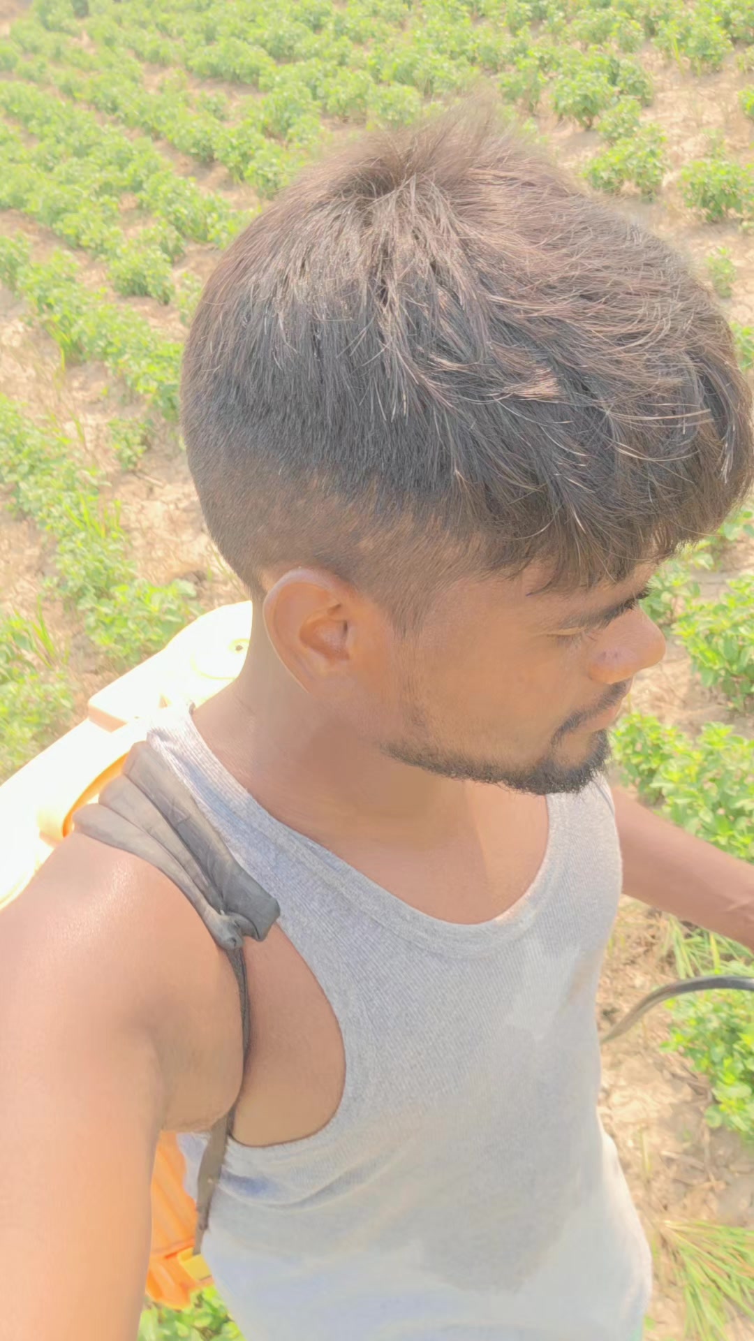 @Anurag Maurya