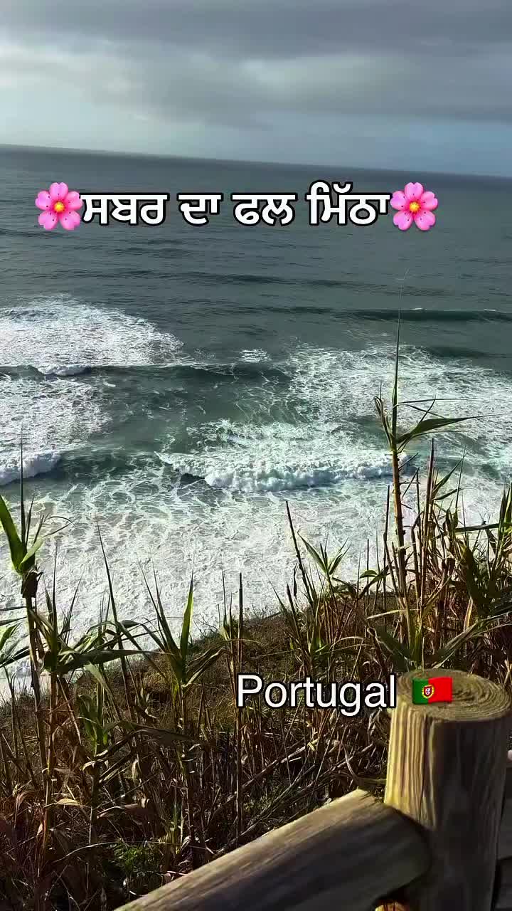 @ਗੈਵੀ ਚੀਮਾ 🇵🇹