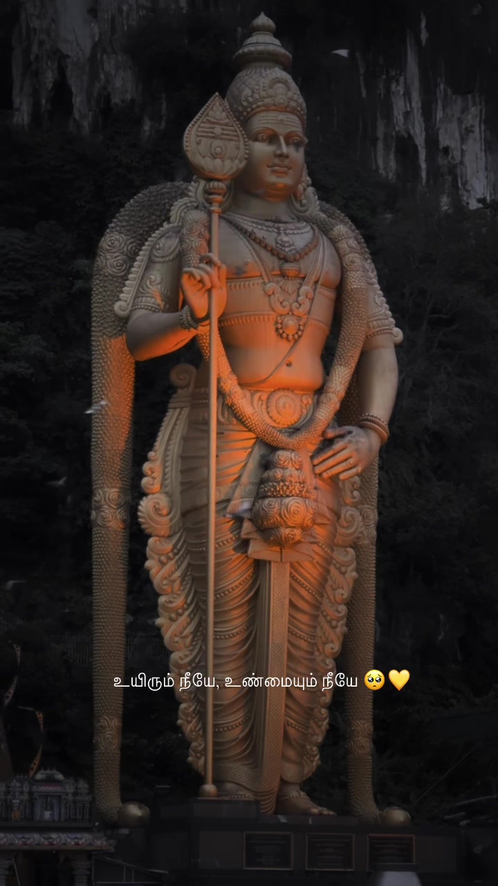 @srijananii
