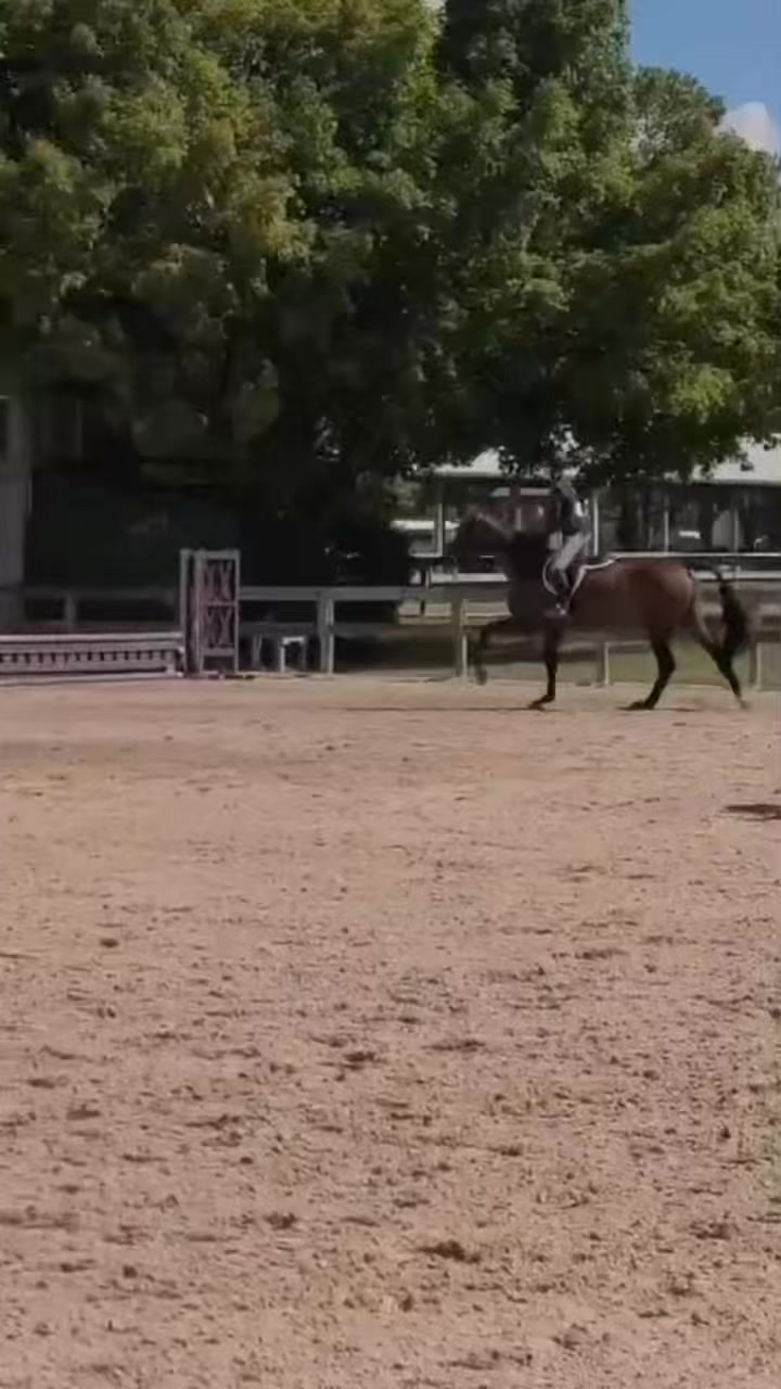 @Eleanor.eq