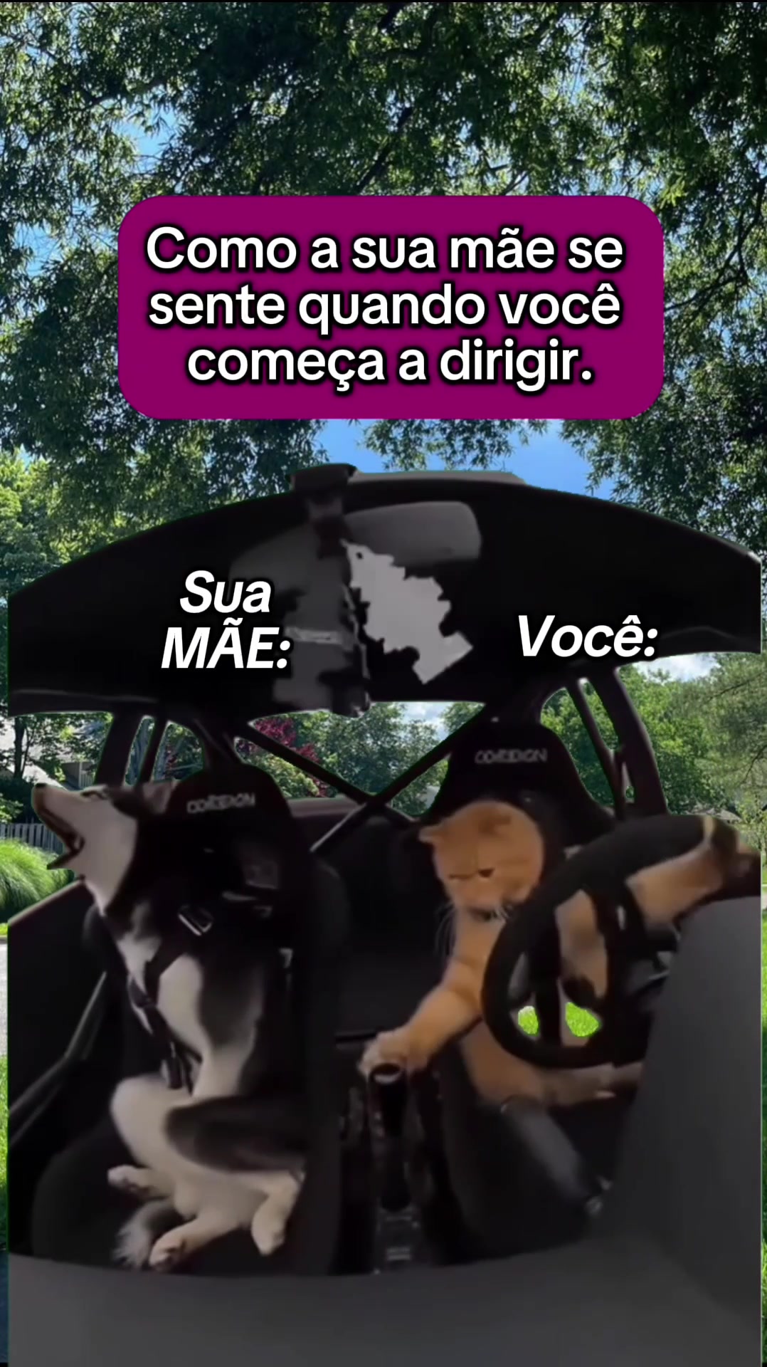 @tababadeira