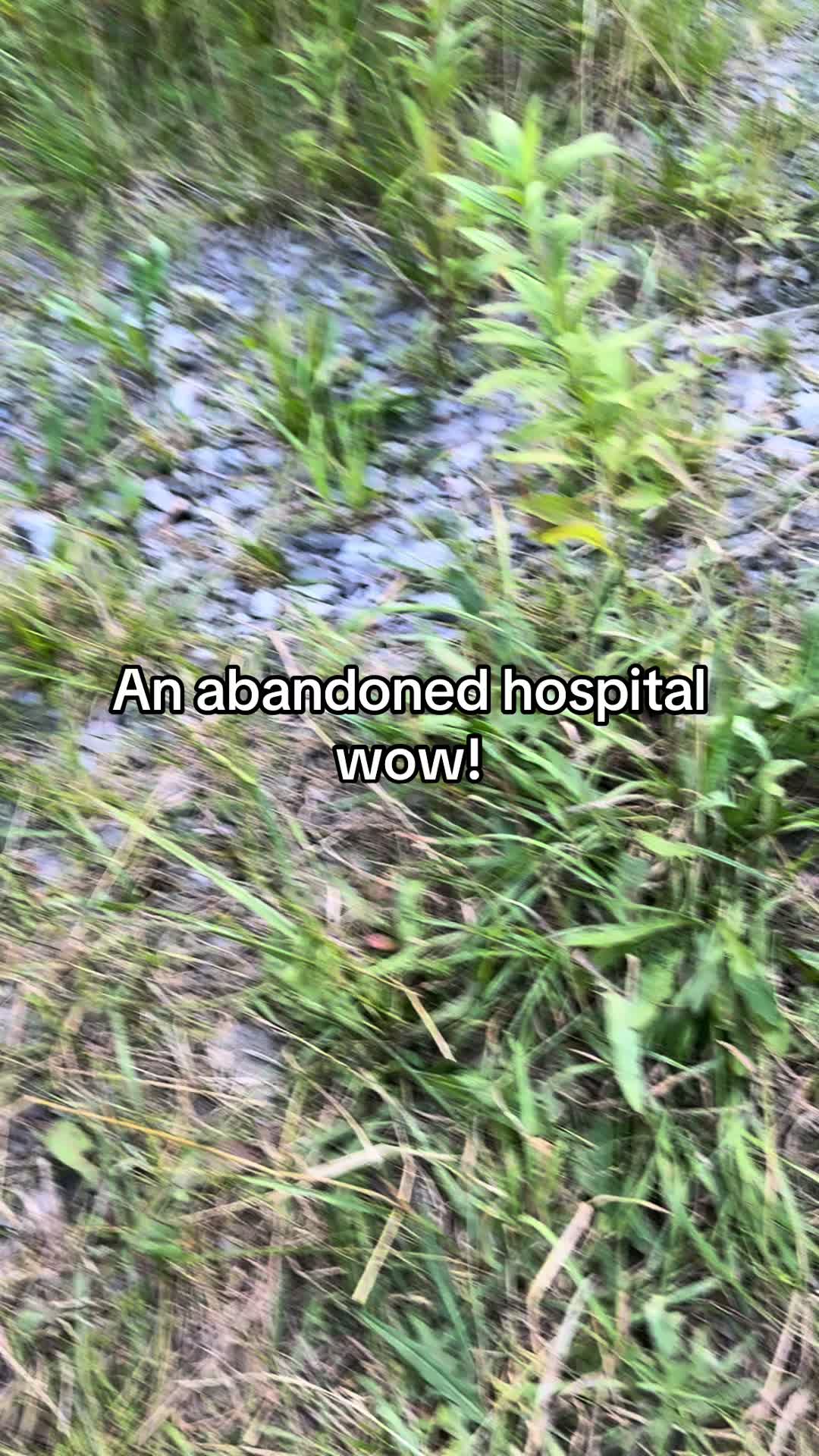 @herbando.exploring