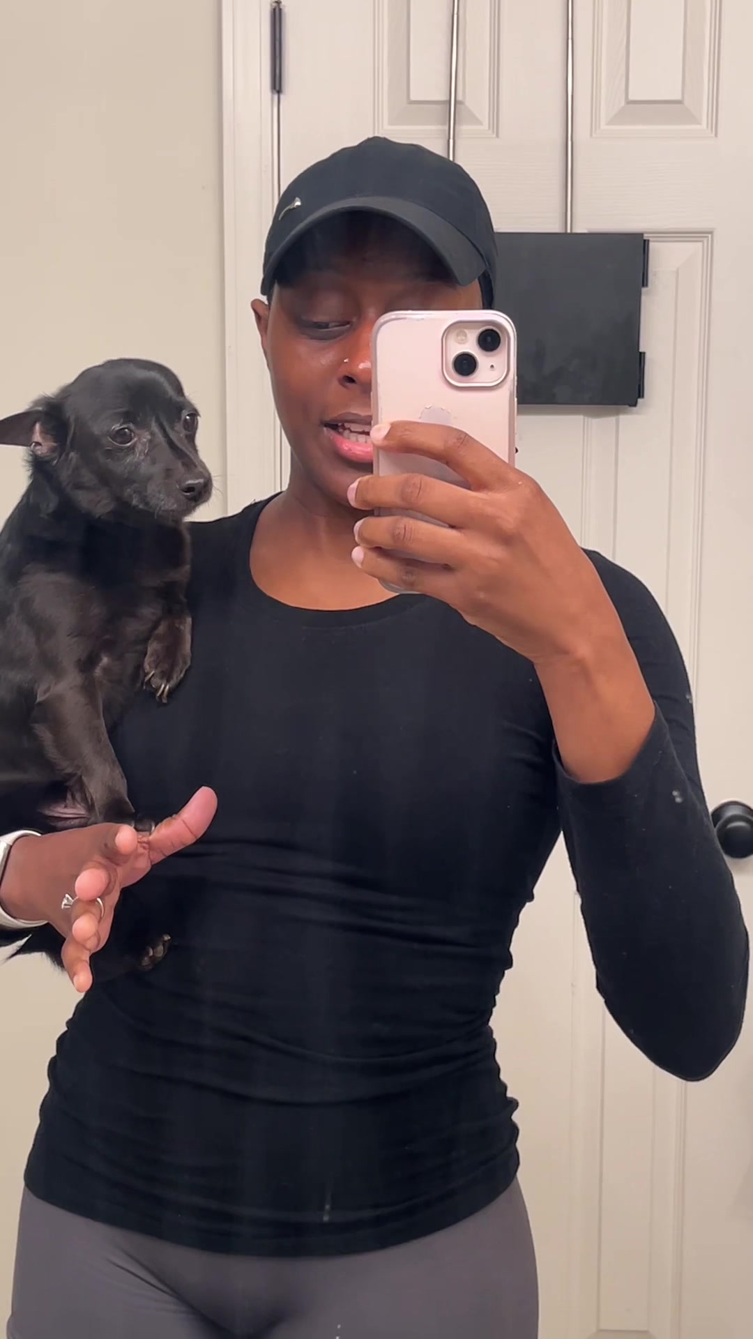 @Blackjack_Chihuahua