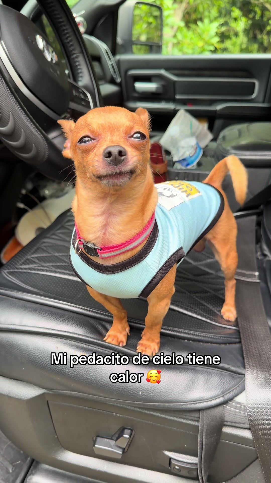 @Gloria Hernandez