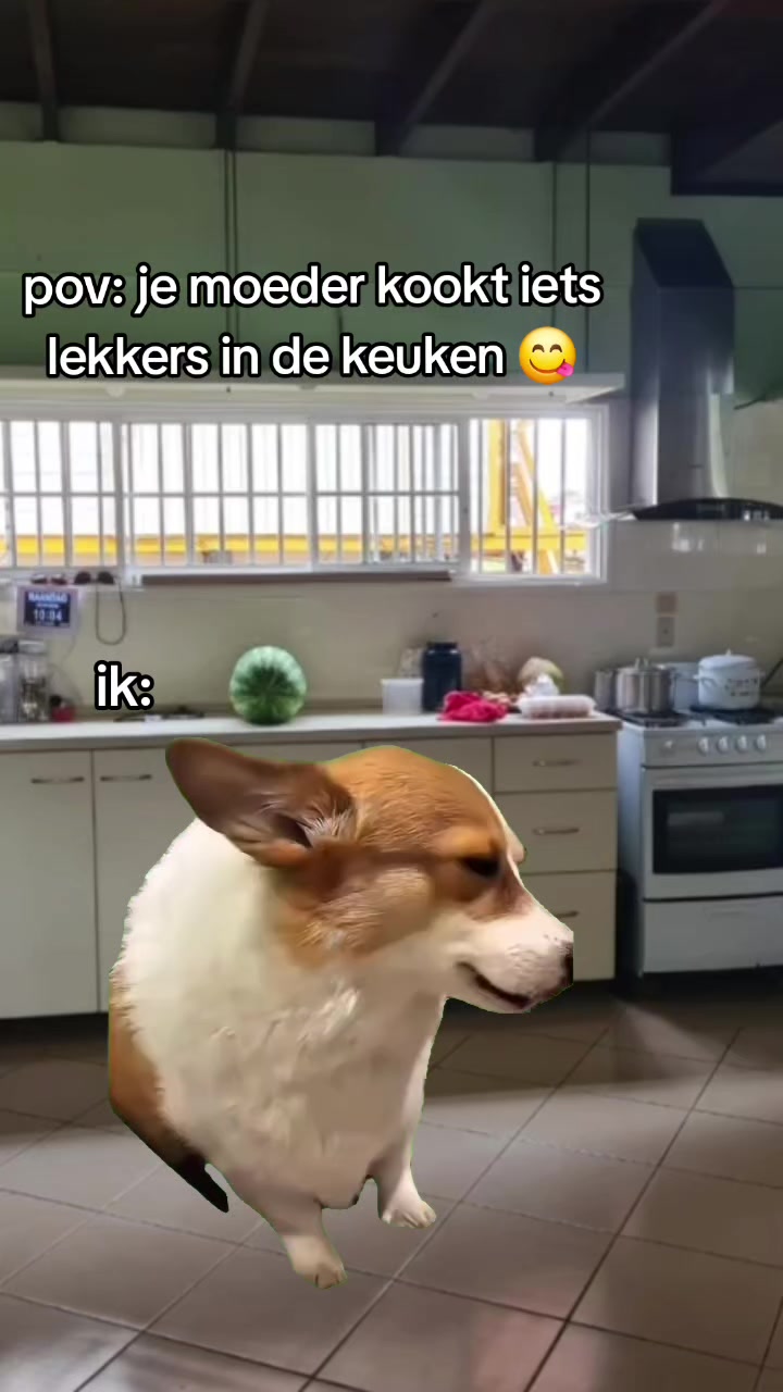 @🤣NOT_SURINAME🇸🇷🤣