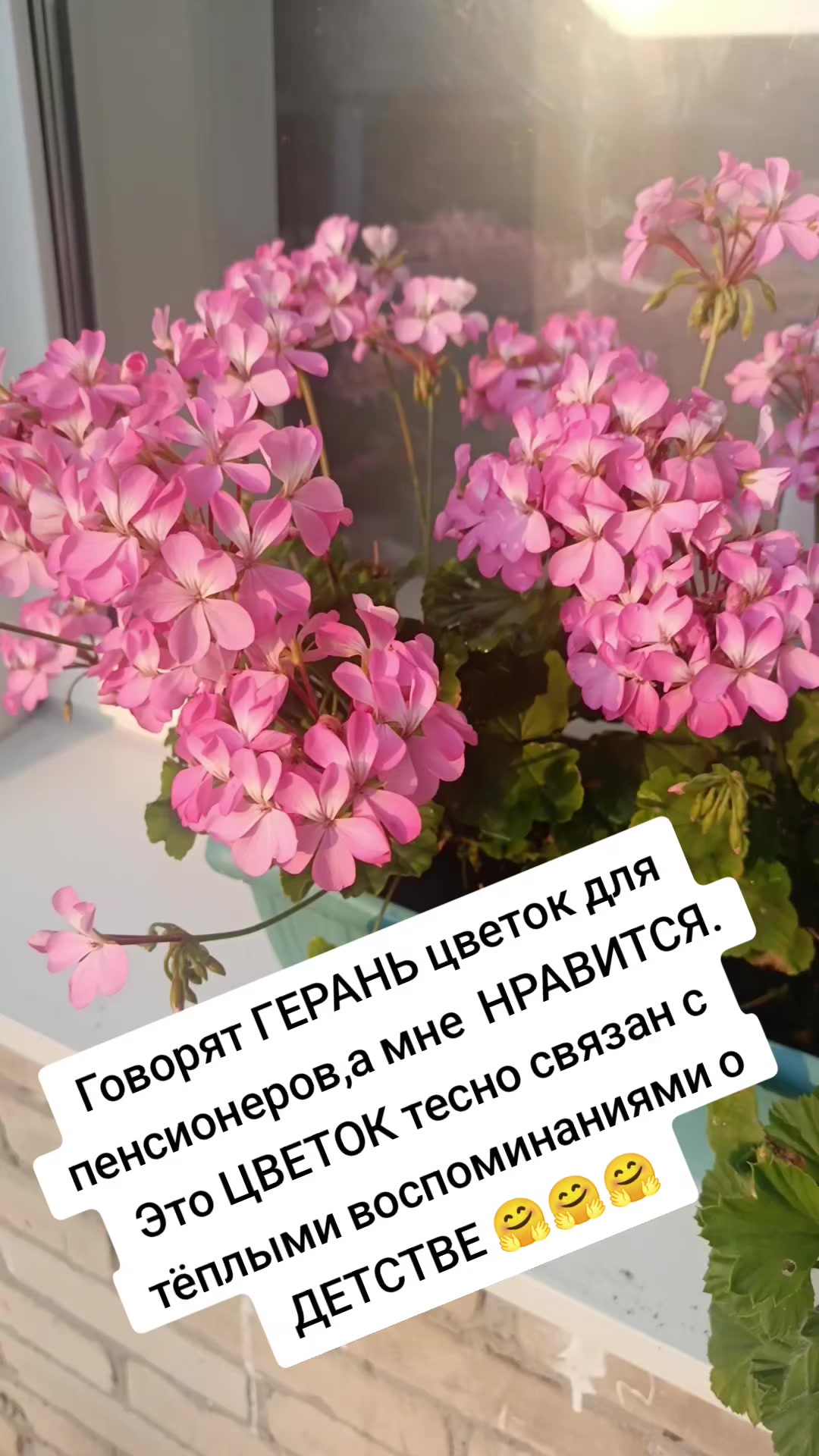 @Оленька