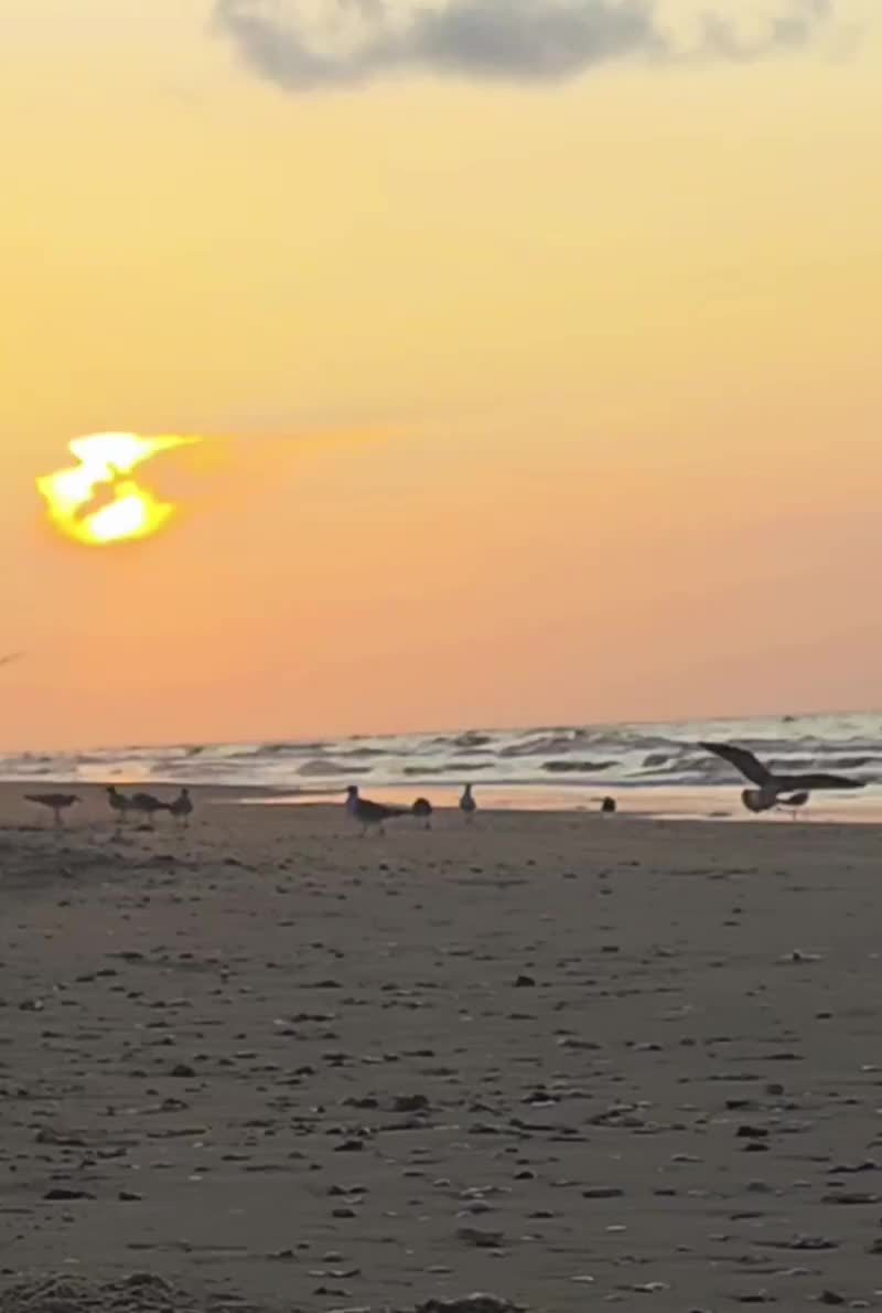 @BeachDayz40