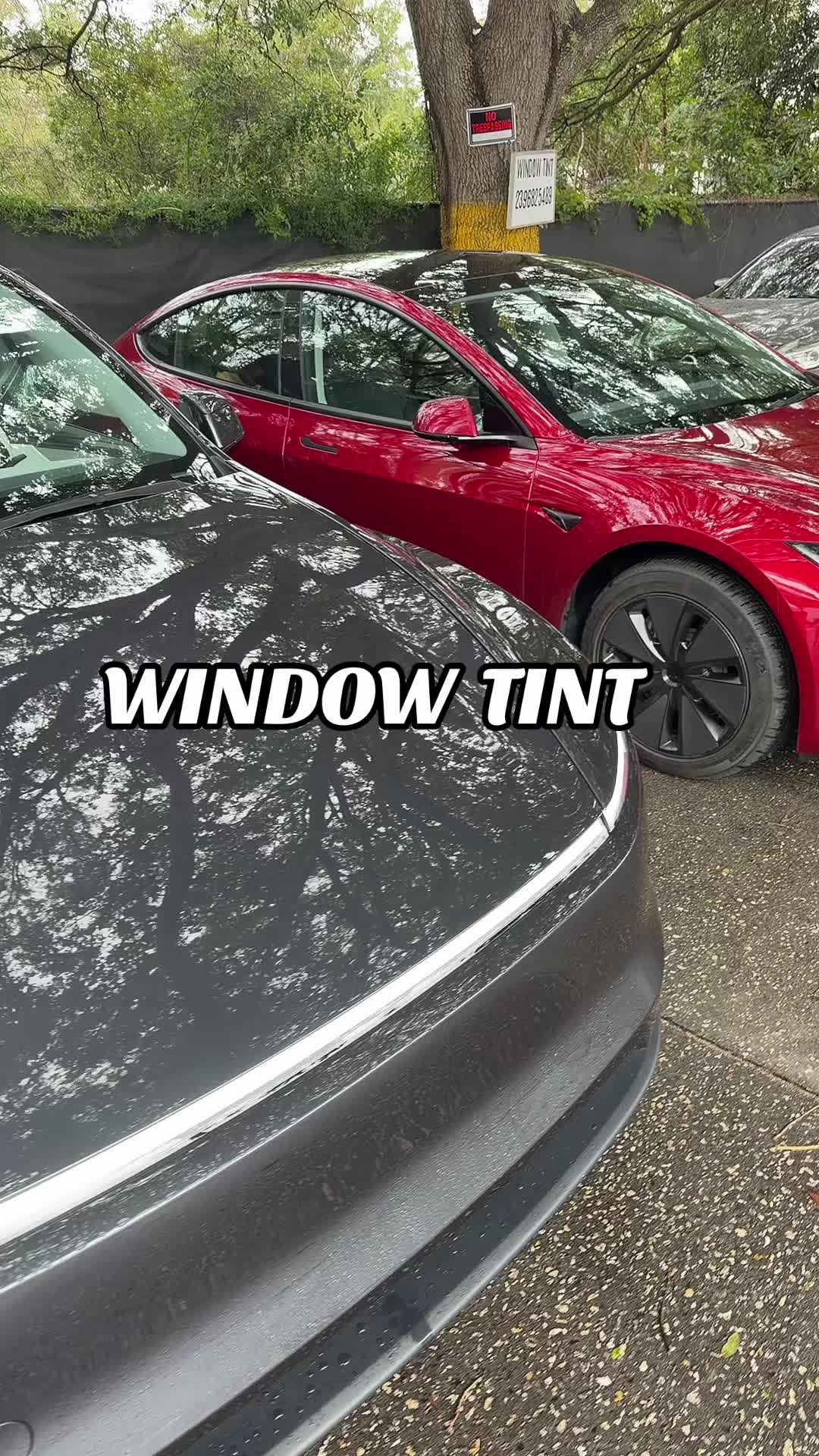 @hds_tint_orlando