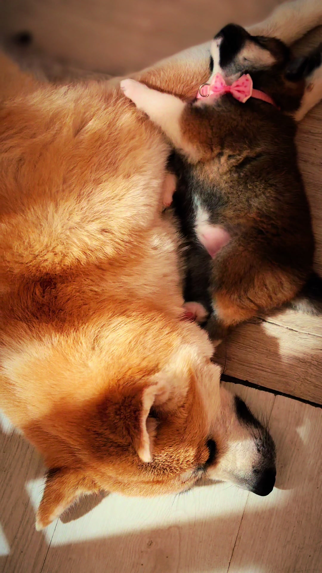@oh_myakita