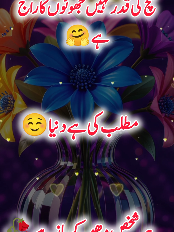 @Janyman379