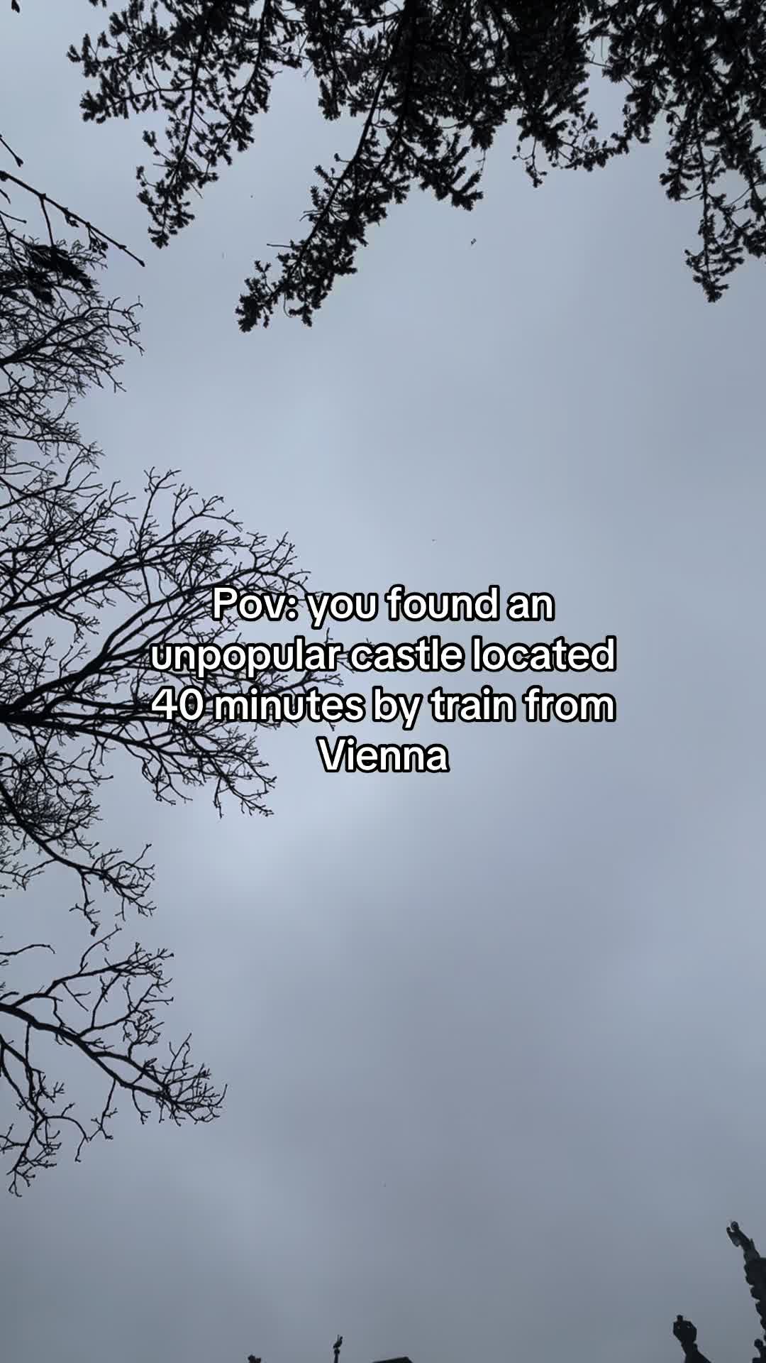 @yelisavettaa