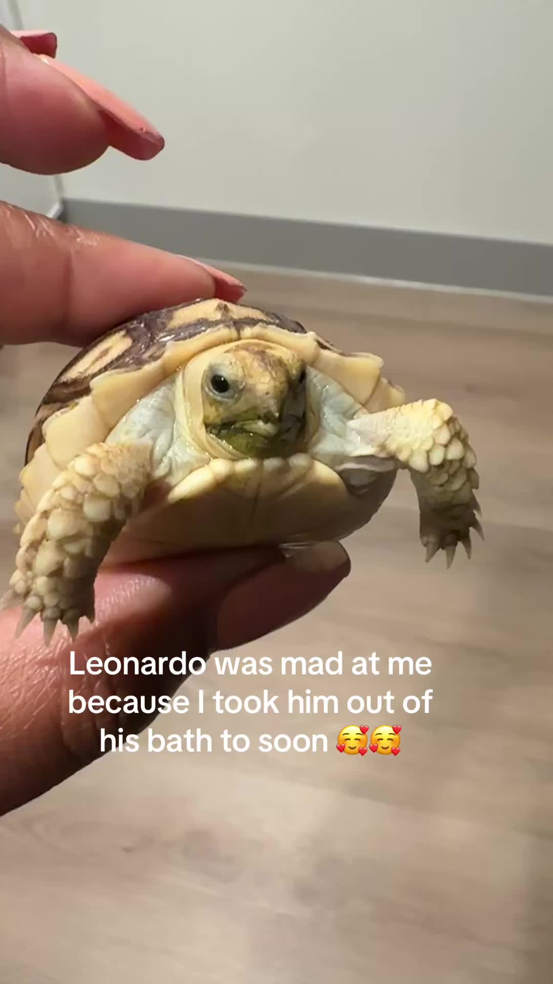 @shica renae