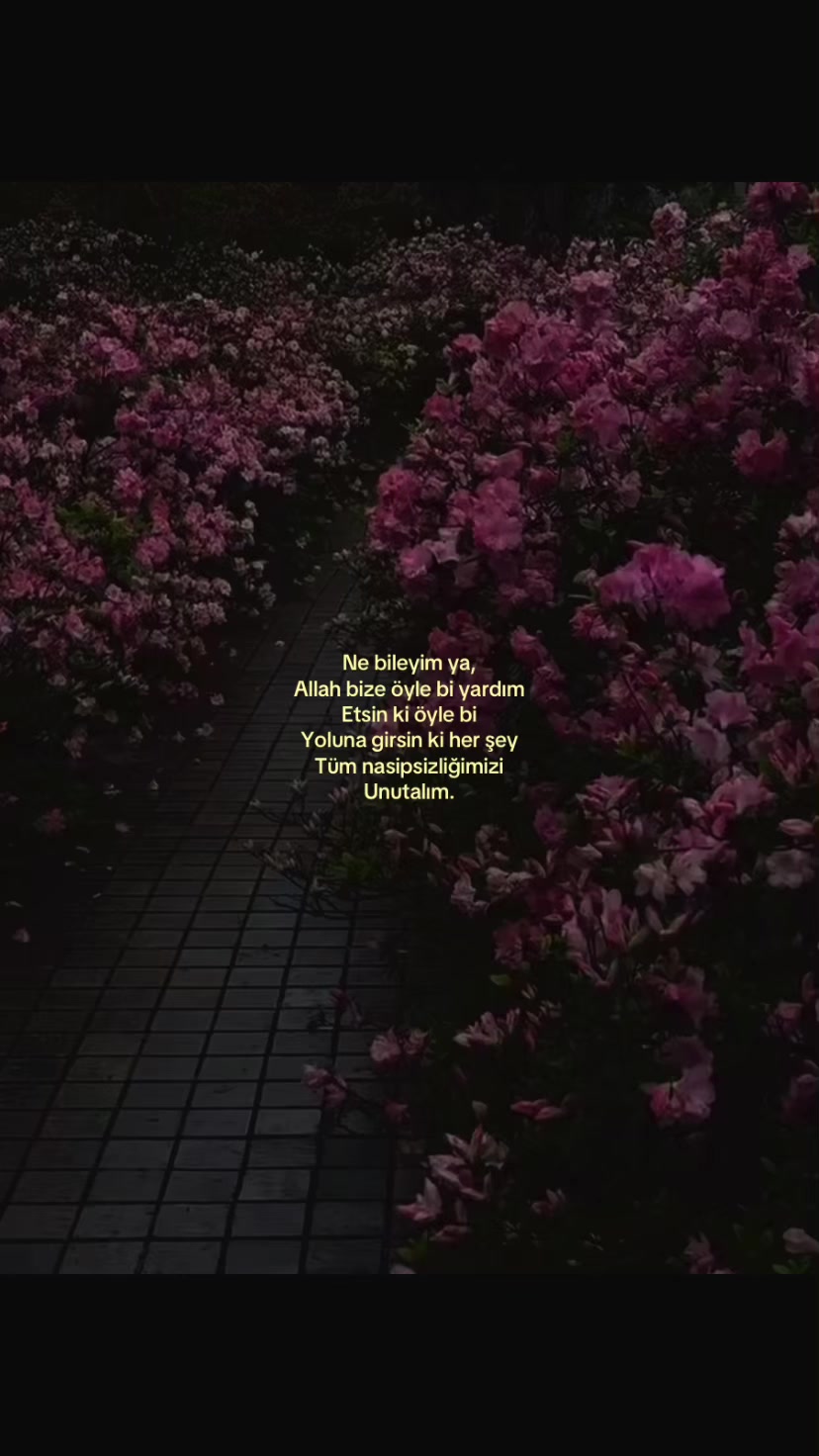 @𝓜♡