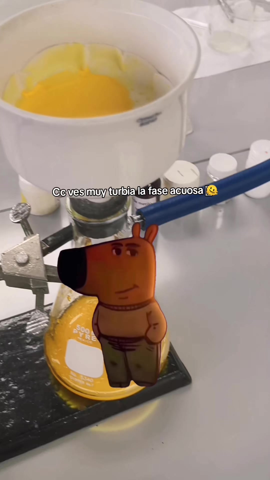 @Dulce Nano👩🏽&zwj;🔬