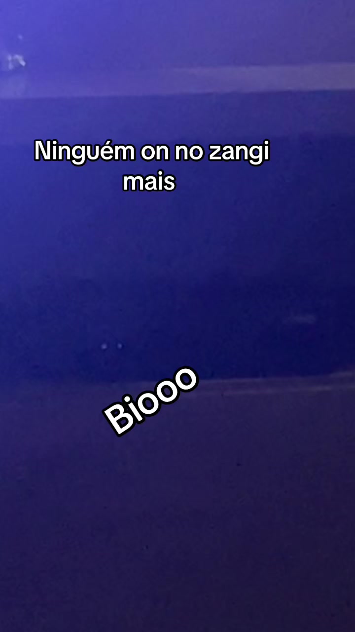 @manuellarossi43