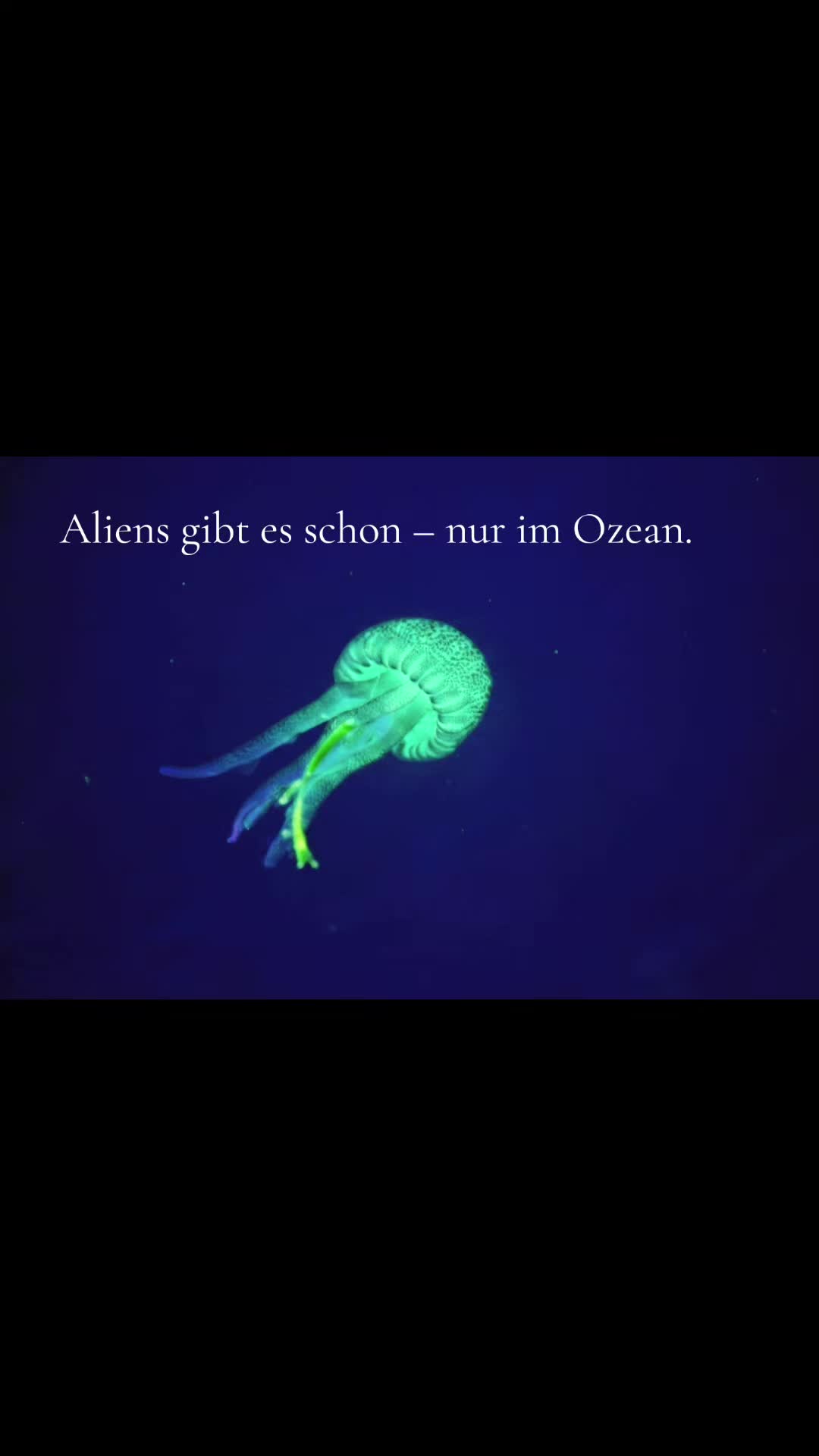 @𝙂𝘭𝒐𝐰𝗡𝐚𝘁𝙪𝐫𝒆𝑨𝗿𝘁 ❀