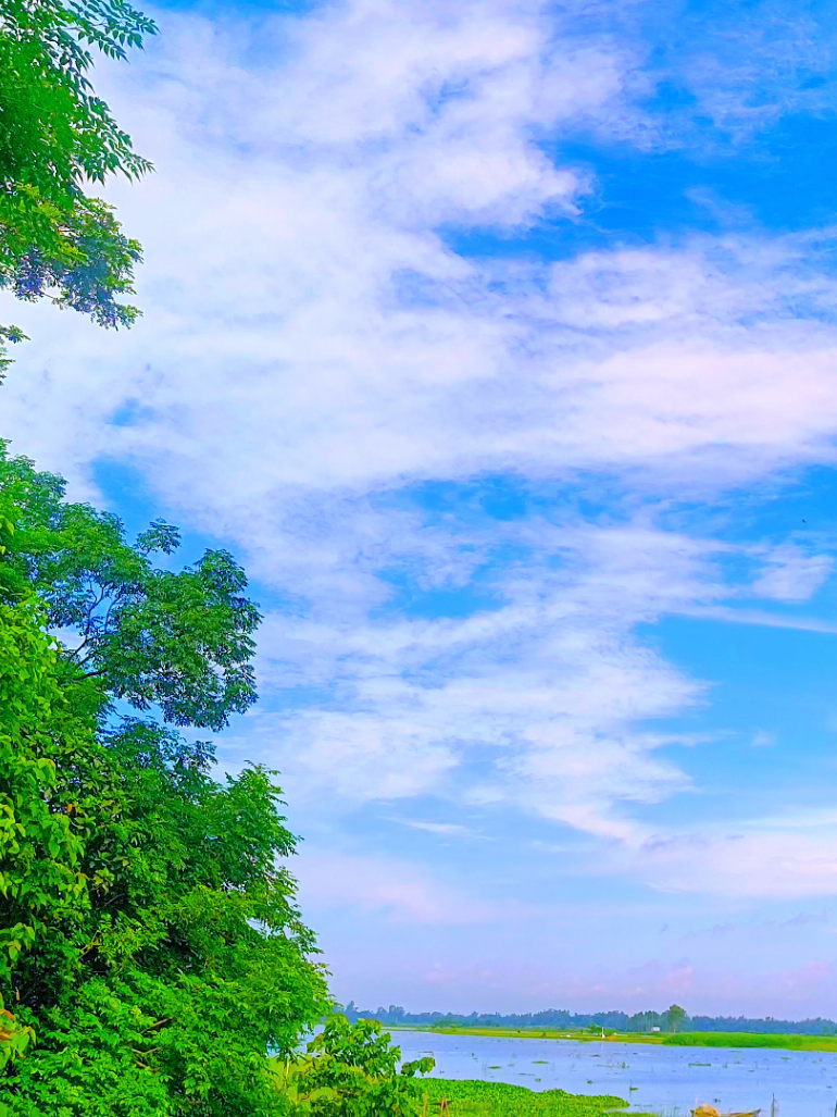 @🪺🦋বাংলার প্রকৃতি 🌾🌹