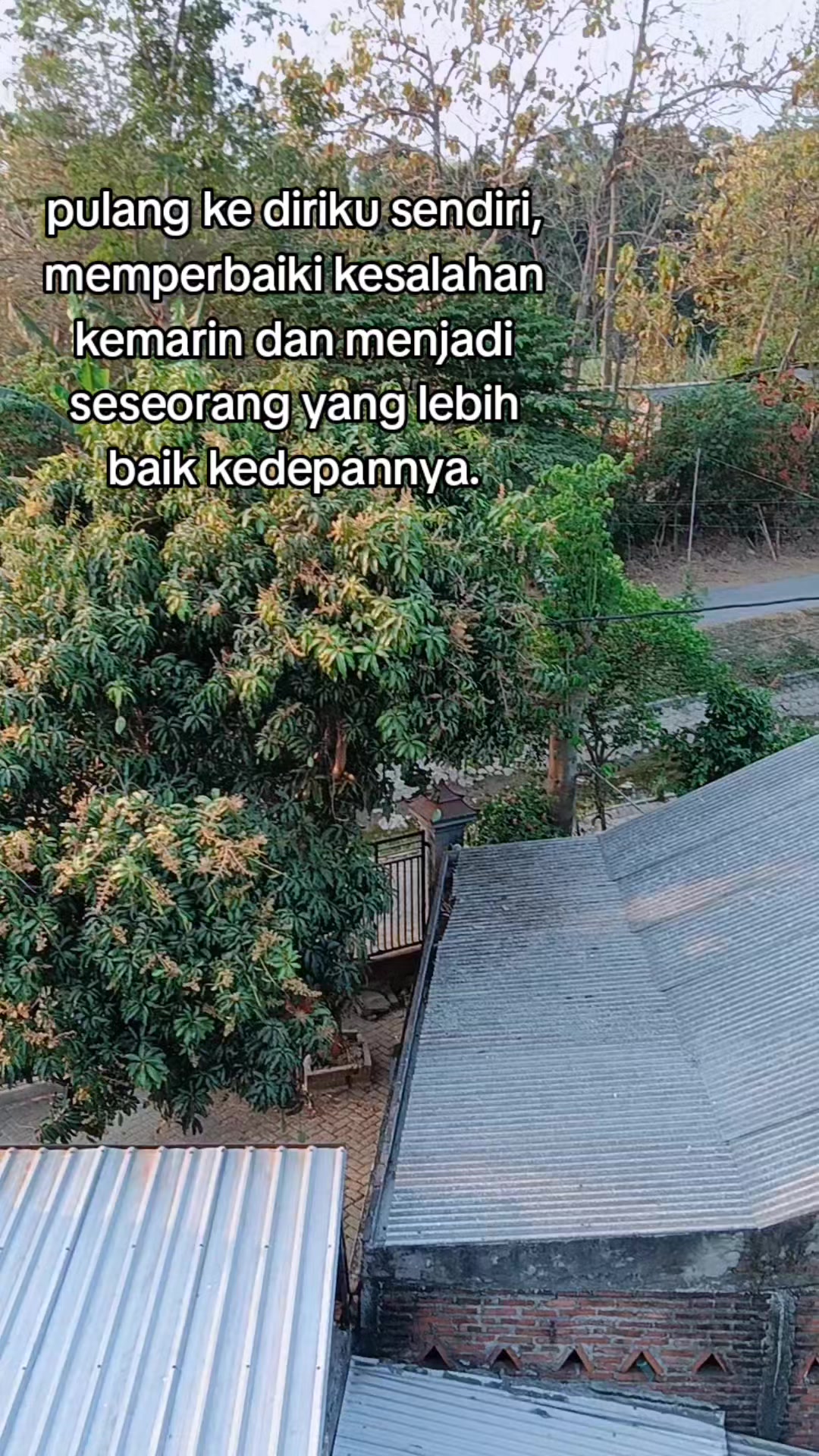 @House Of Men