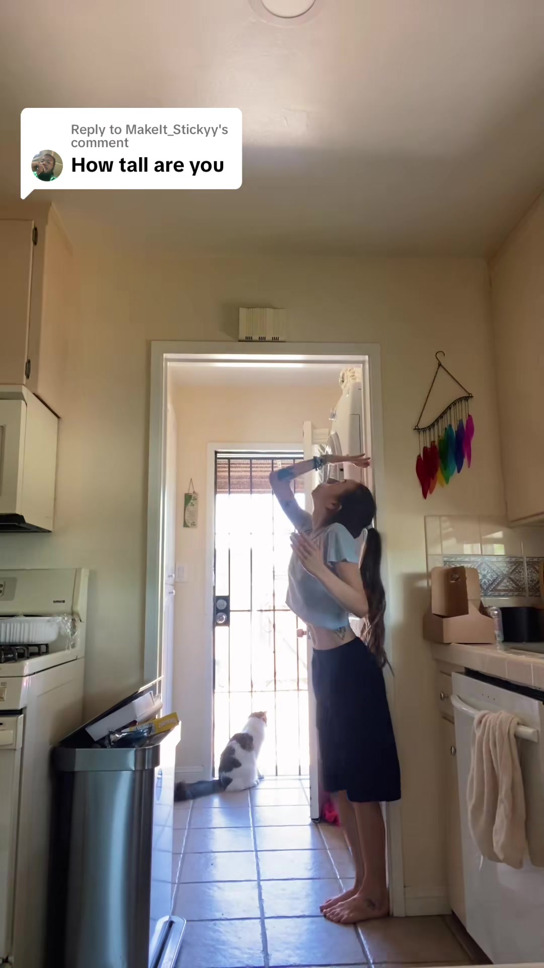 @notzoe.serena