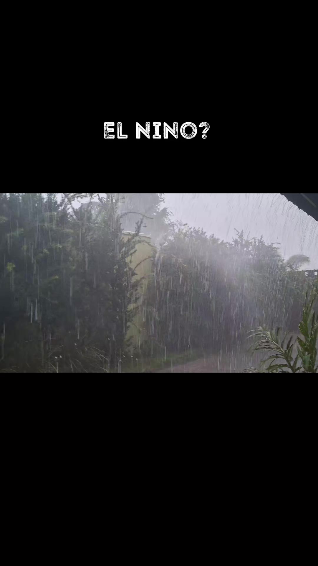 @🦆𝙎𝙥𝙞𝙣𝙤/𝙨𝙣𝙤𝙘𝙠🦆