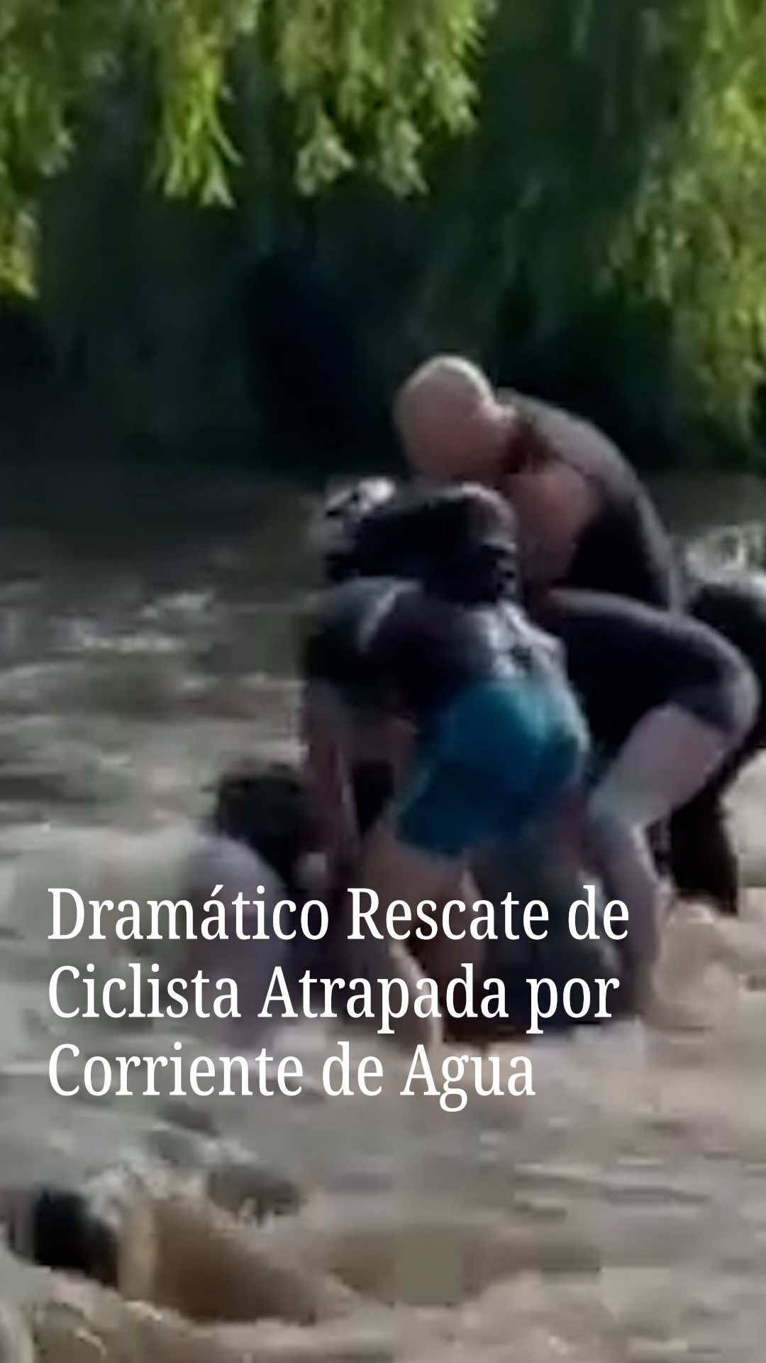 @N+ UNIVISION