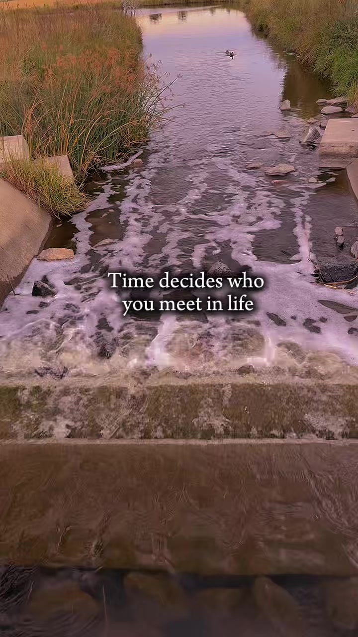 @🪶🦋𝓜𝓪𝓰𝓰𝓲𝓮🦋🪶| 🎼BᘿΛ₮🌍