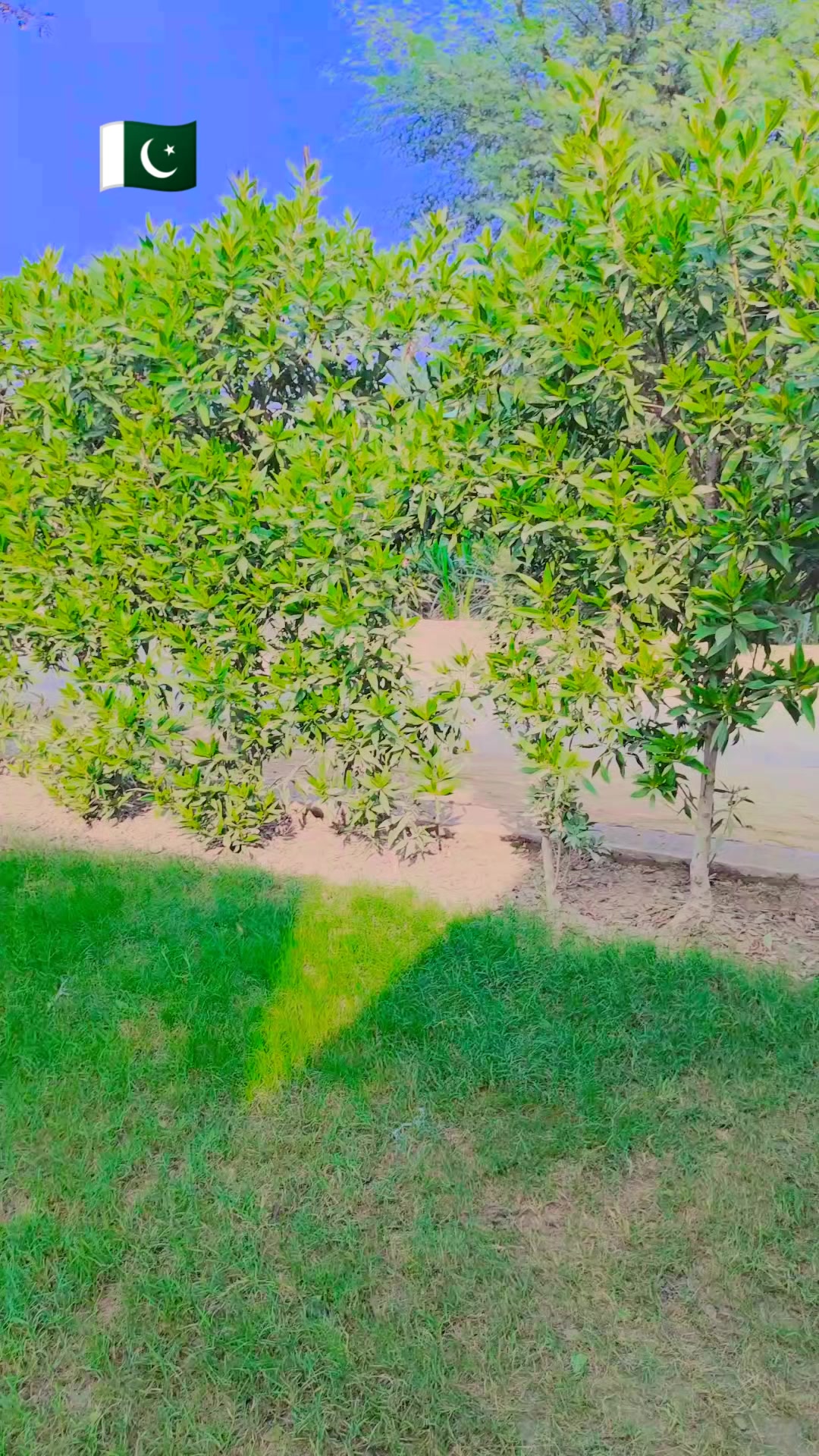 @🇸🇦مدثد جوئیہ چنوں آ لہ 🇵🇰