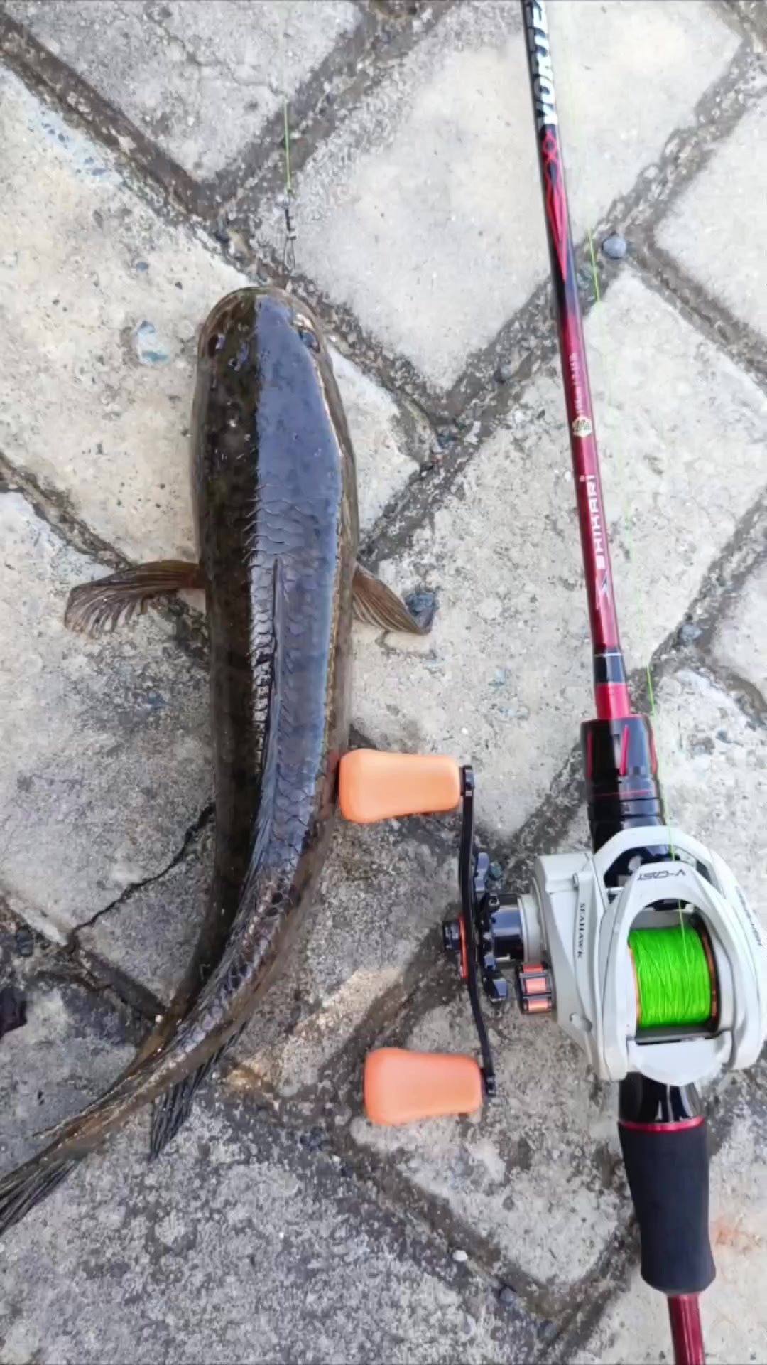 @Julak_Angler🎣
