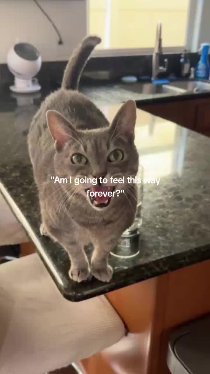 @SL33PY