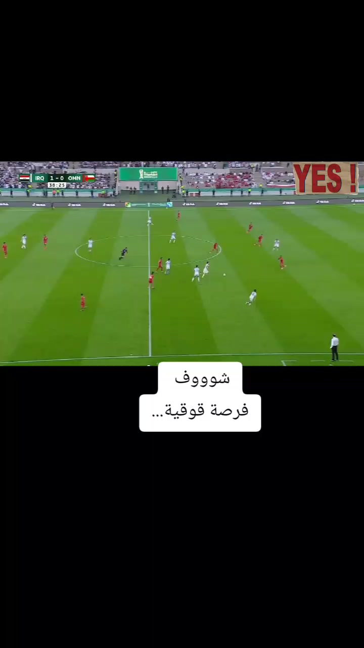 @ملعب البصرة جذع نخلة