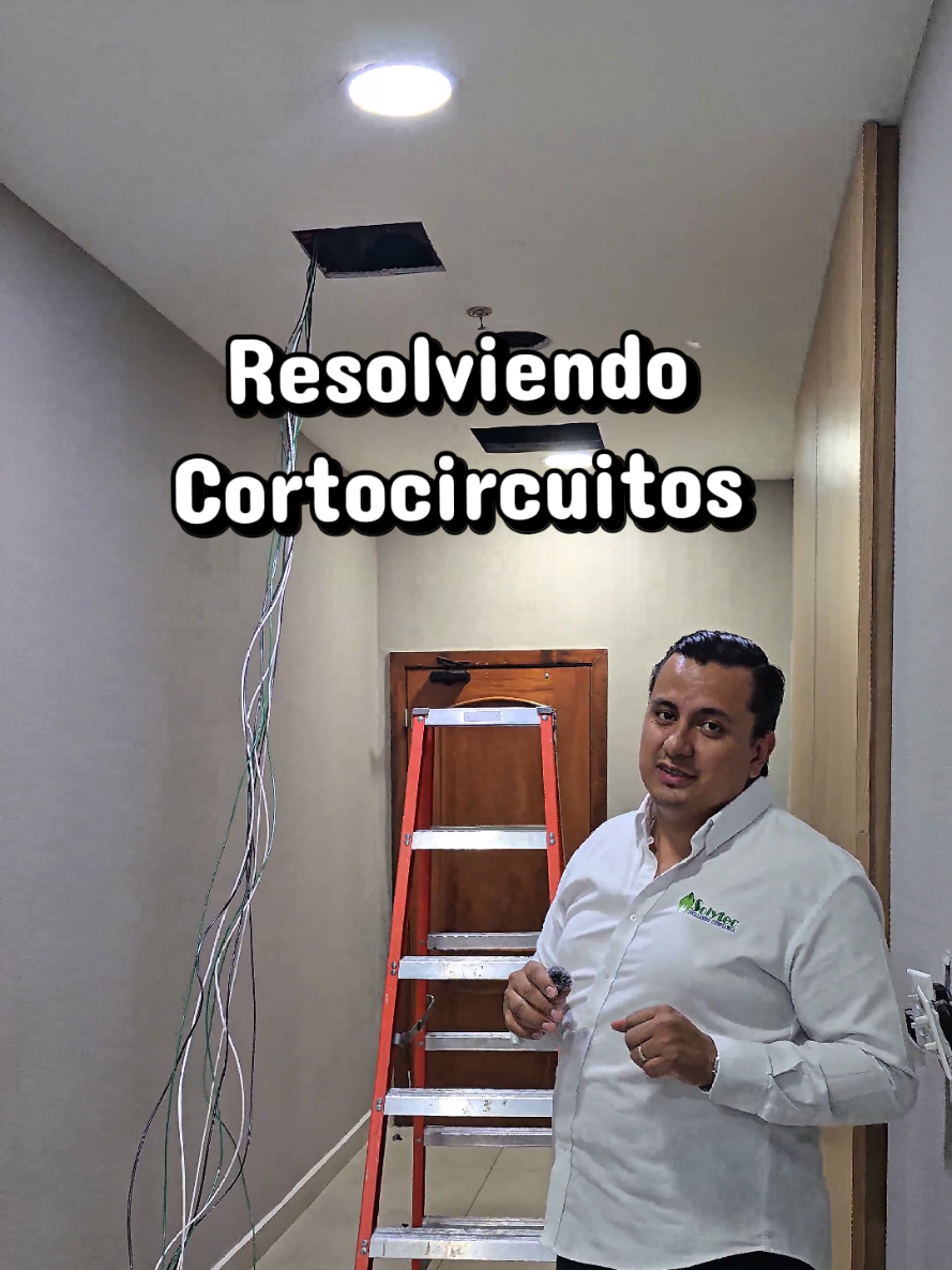 @Solytec