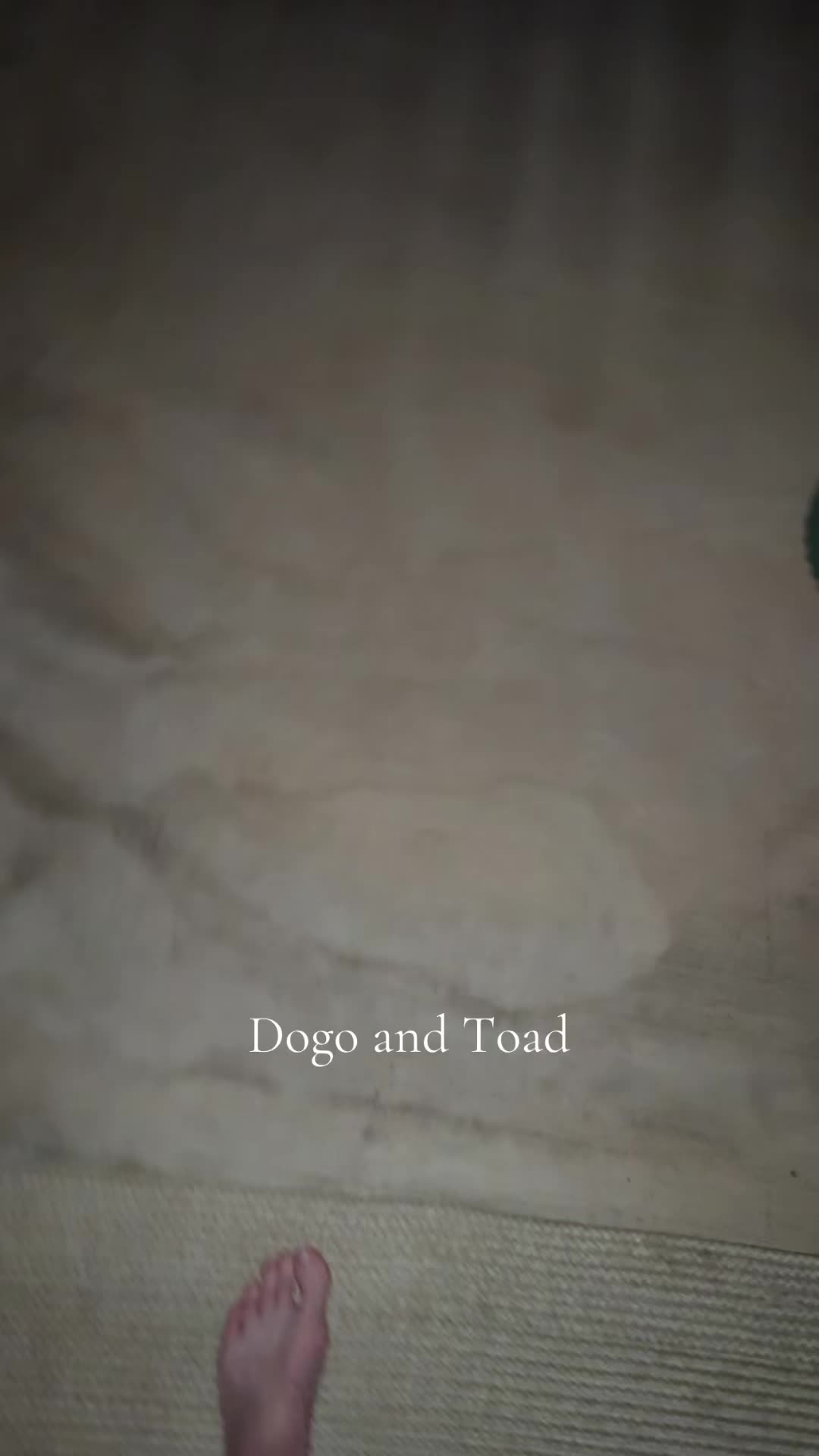 @Dogo Mom