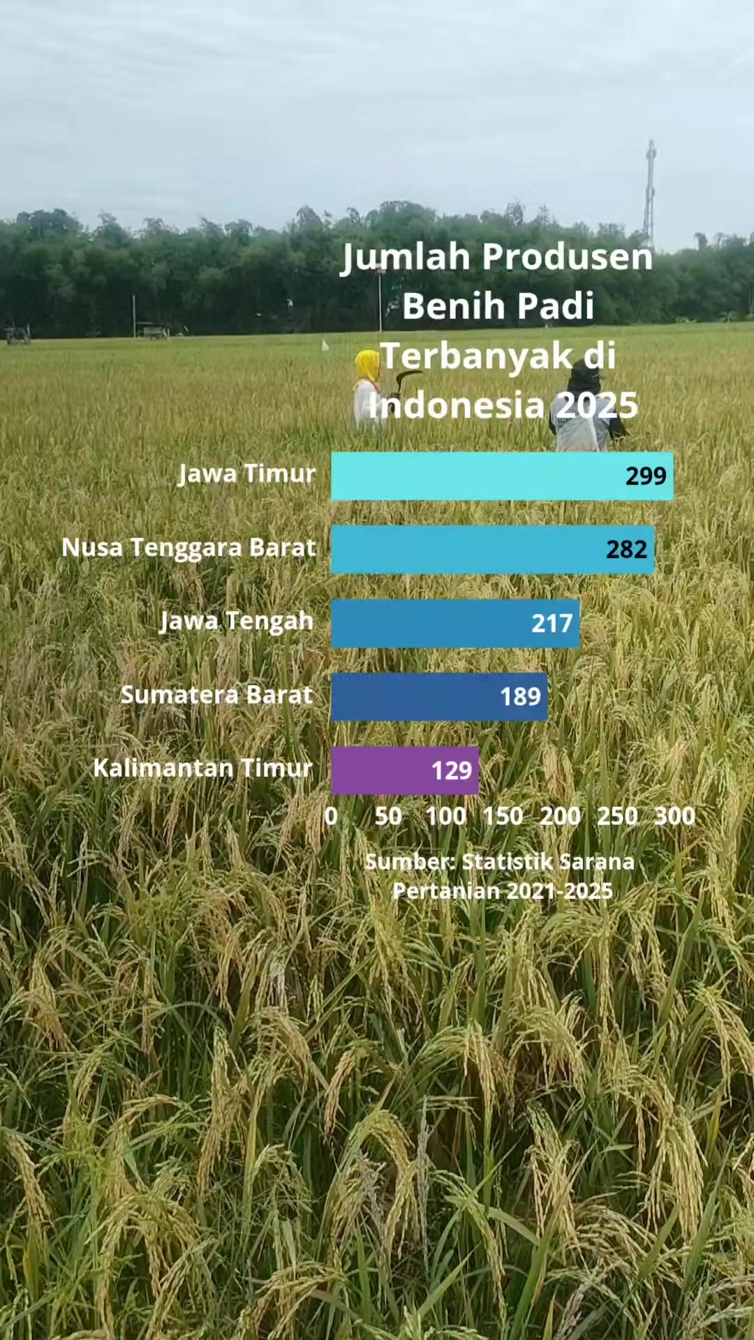 @ahmad mundir