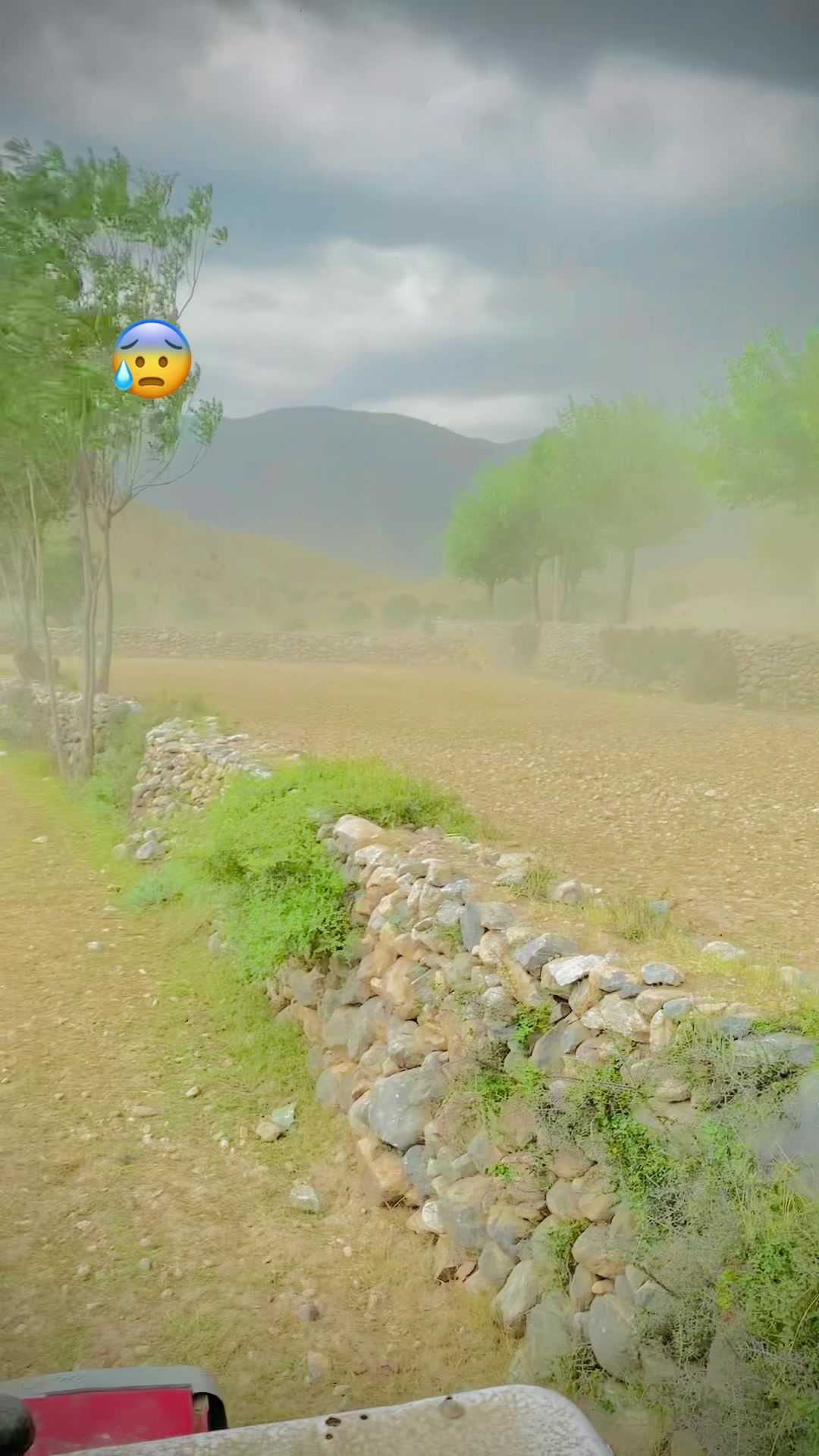 @arshad khan 🔥MMD 1️⃣1️⃣1️⃣🔥