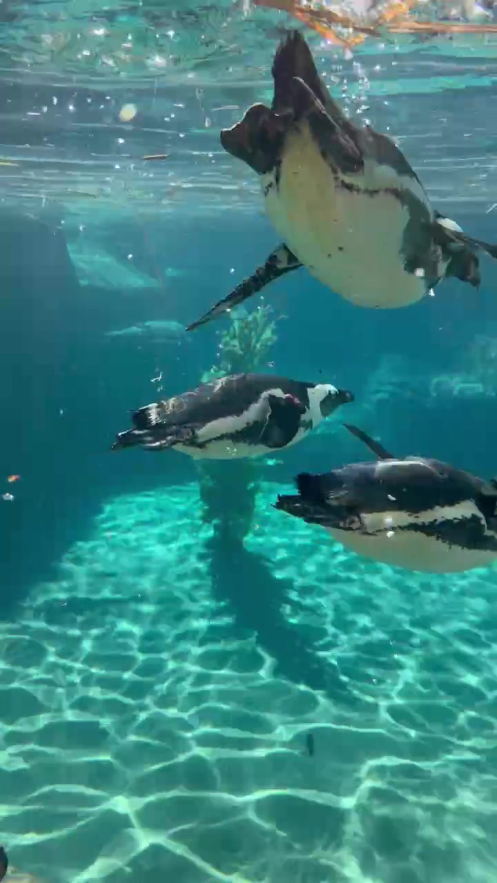 @Cincinnati Zoo