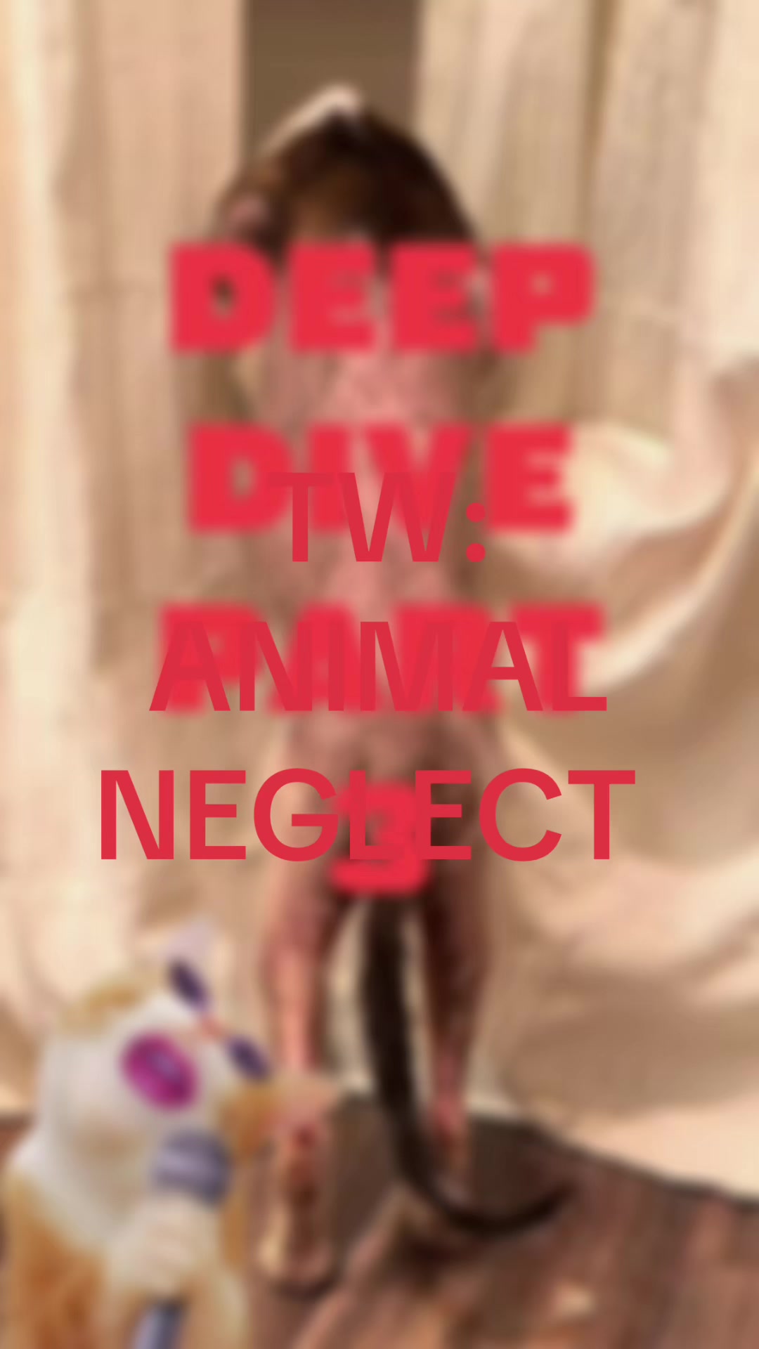 @Theresilientgrifters