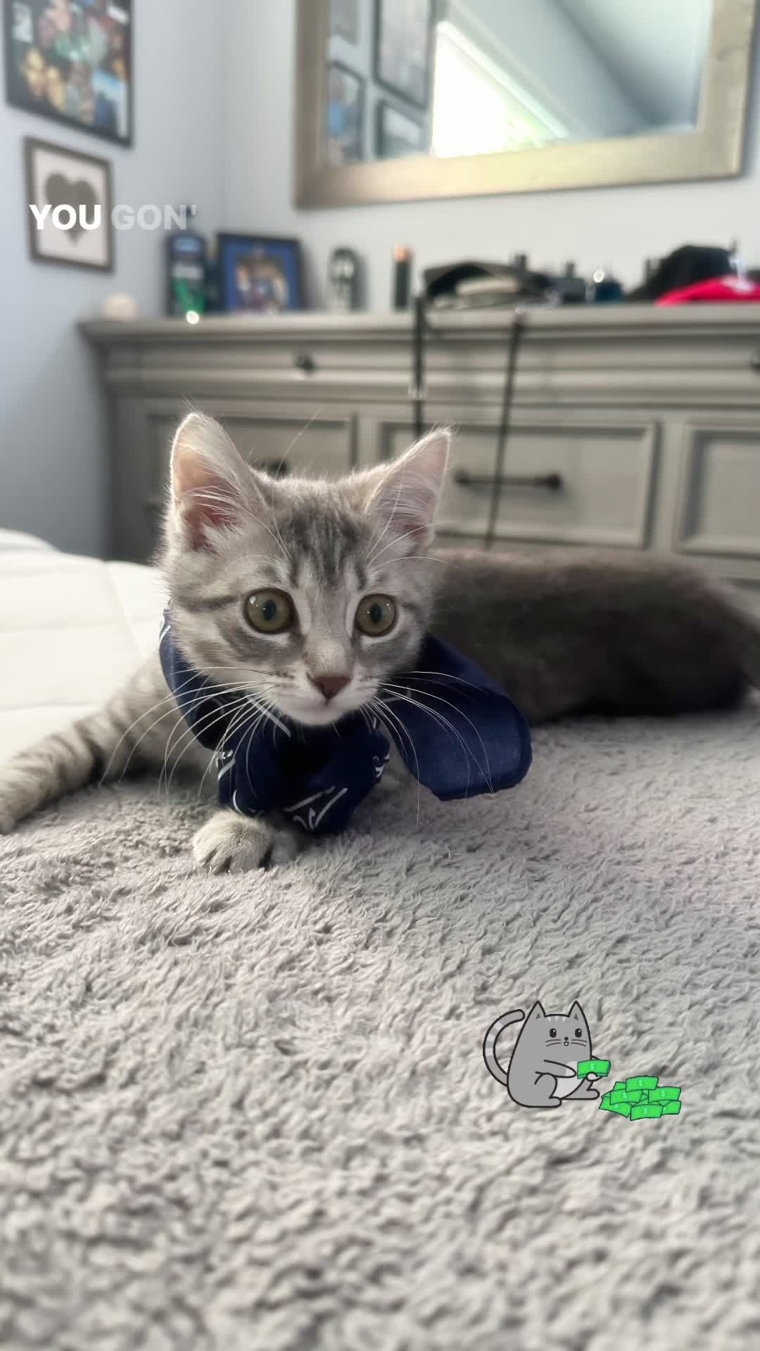 @mimi💙