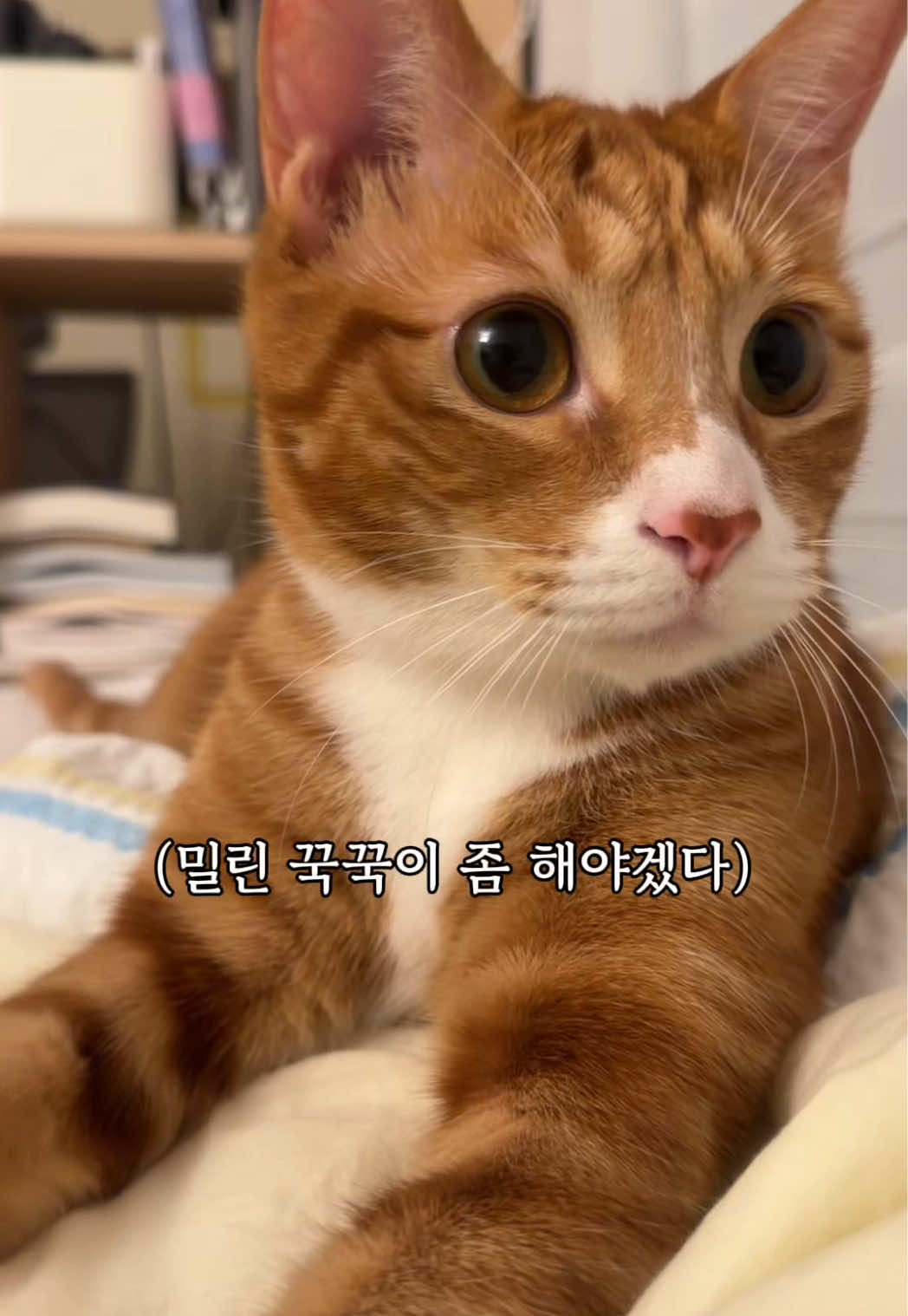 @뮤춘삼