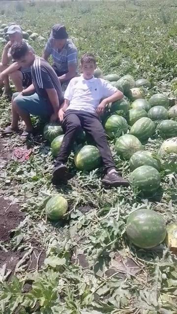 @ВІТАЛІЙ СЛІДЕНКО