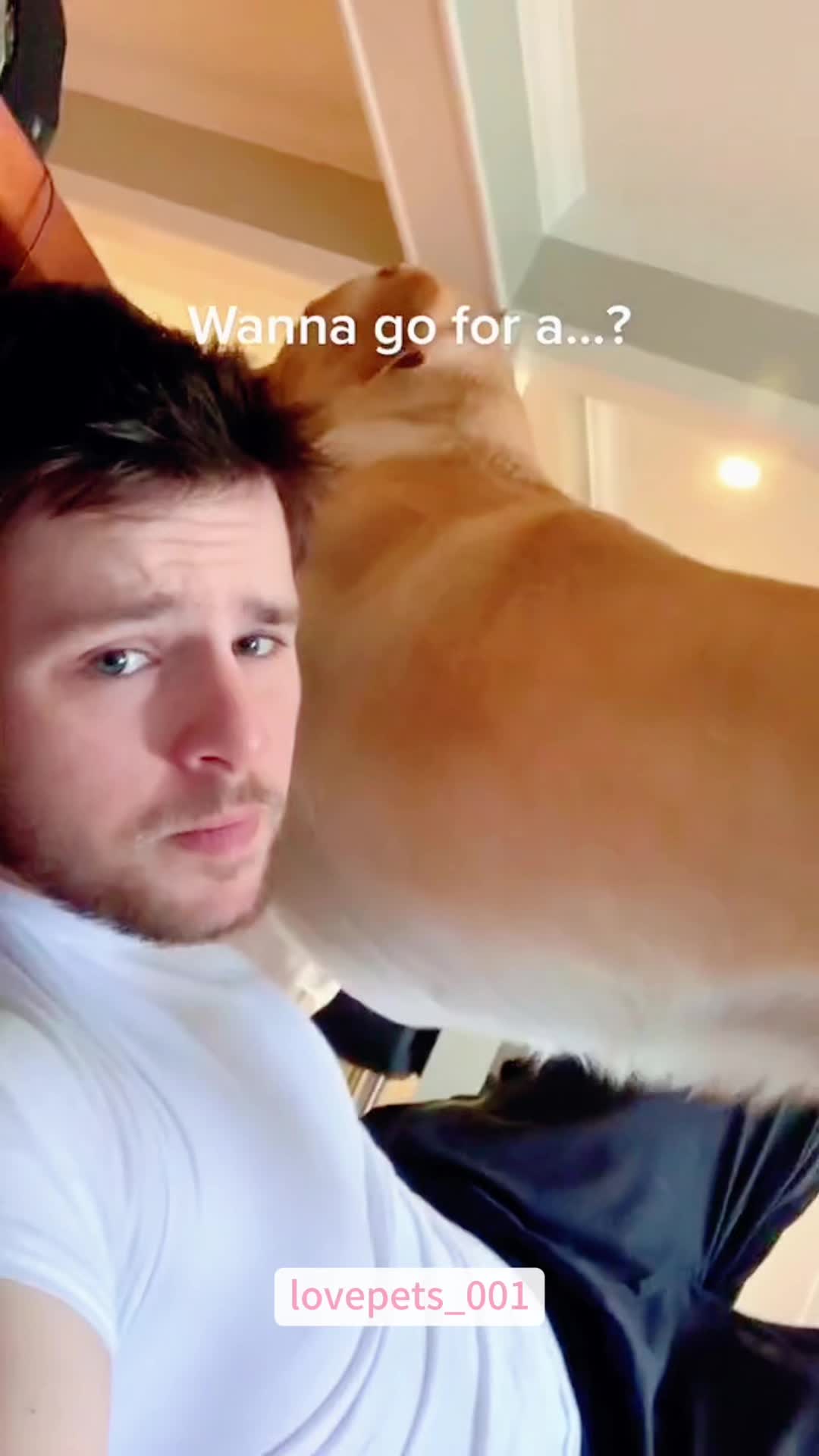 @lovepets_001